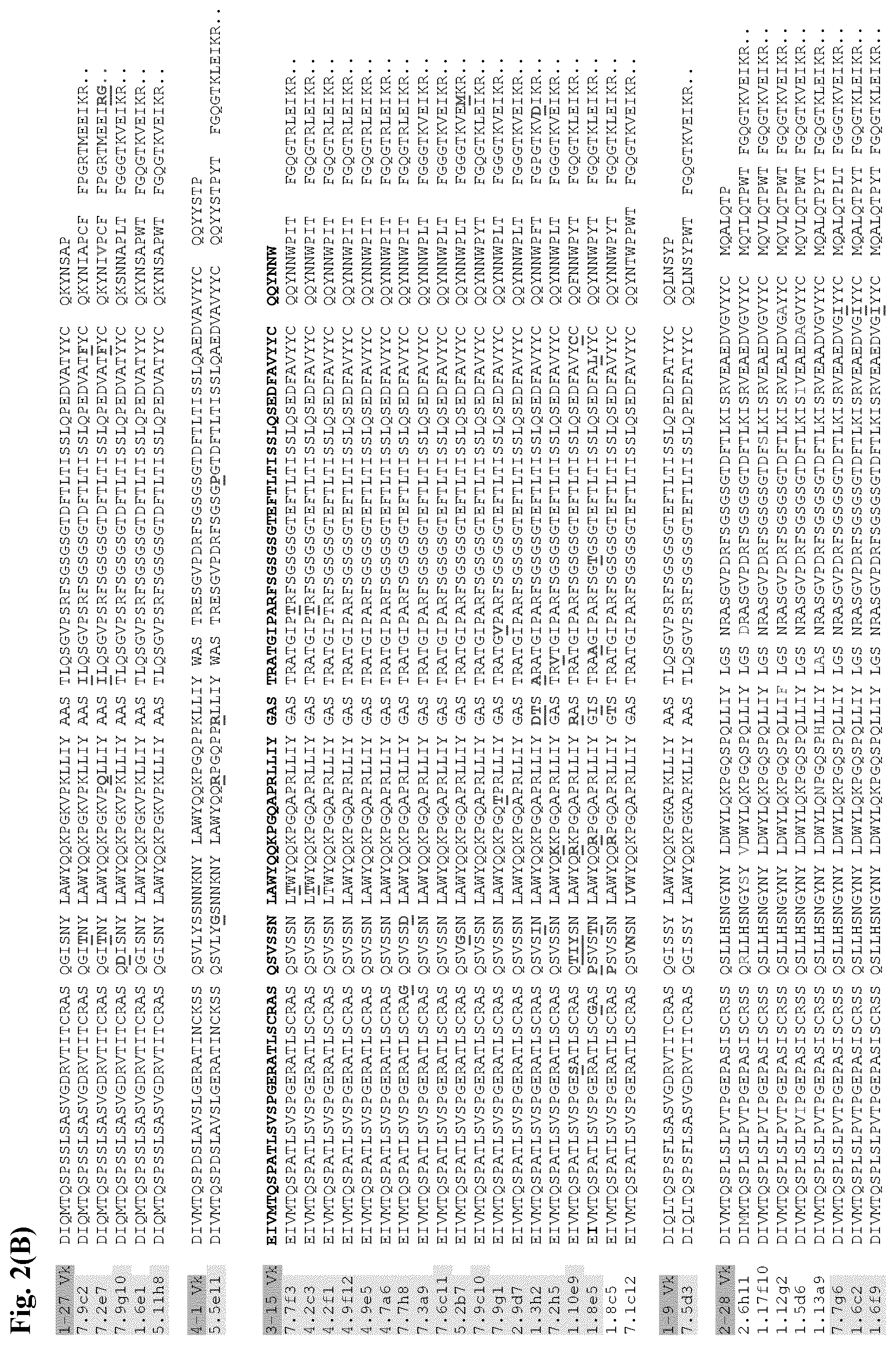 Patent US12599668 Figure 6 – Antibodies