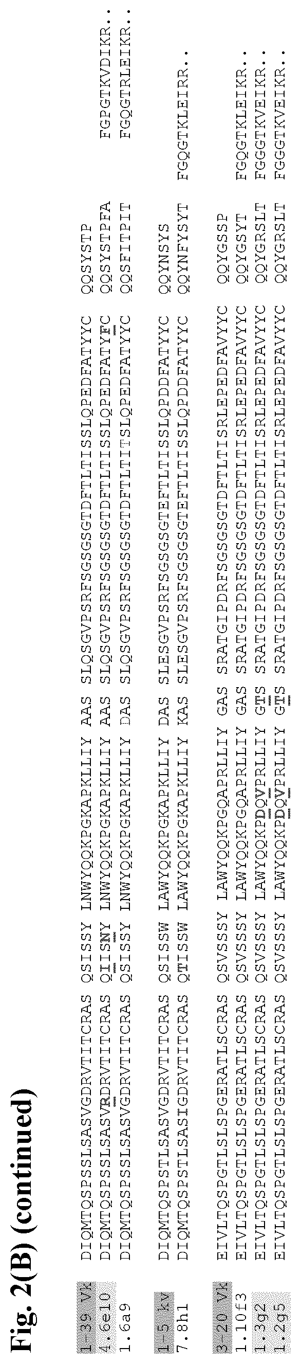 Patent US12599668 Figure 7 – Antibodies