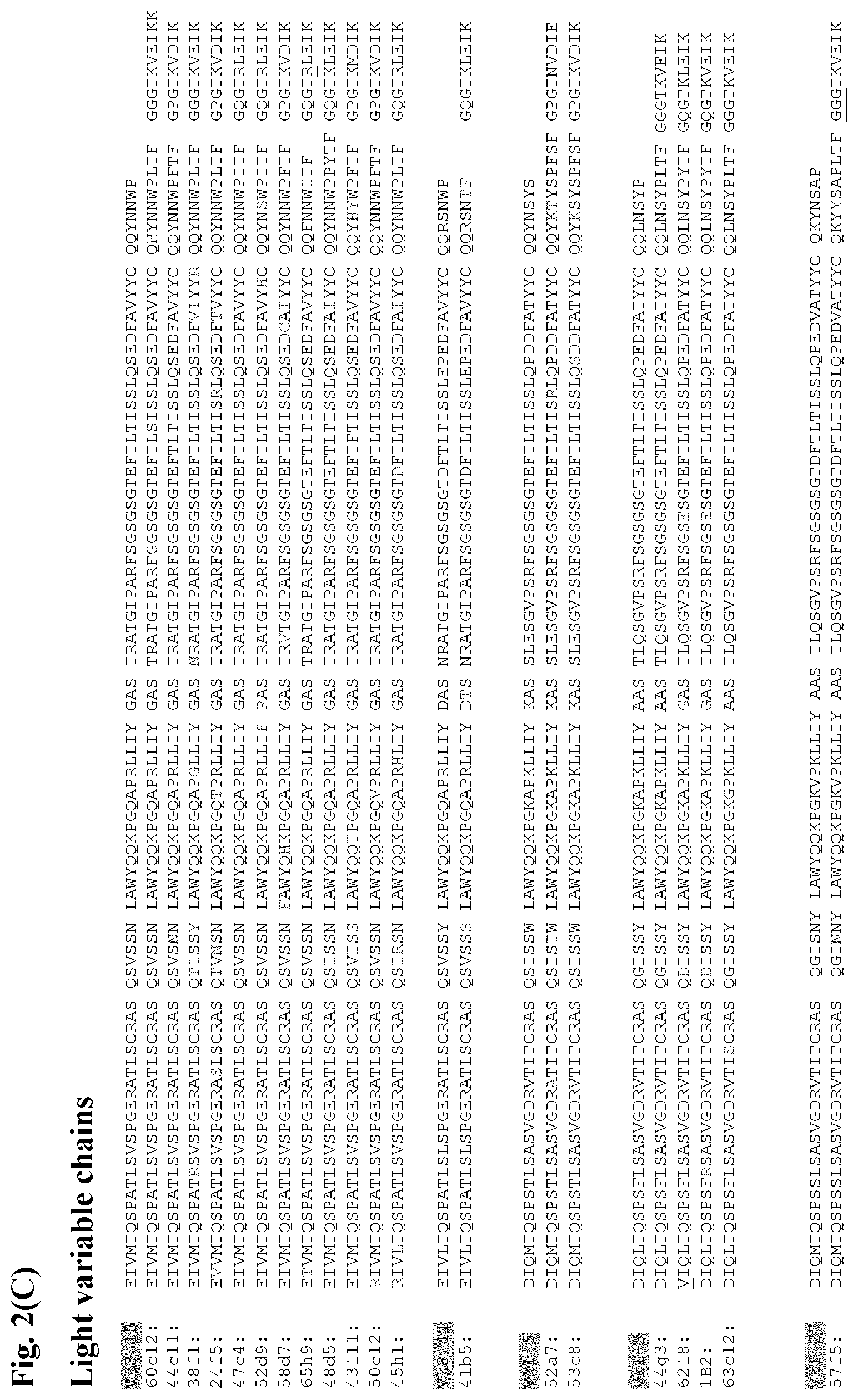 Patent US12599668 Figure 8 – Antibodies