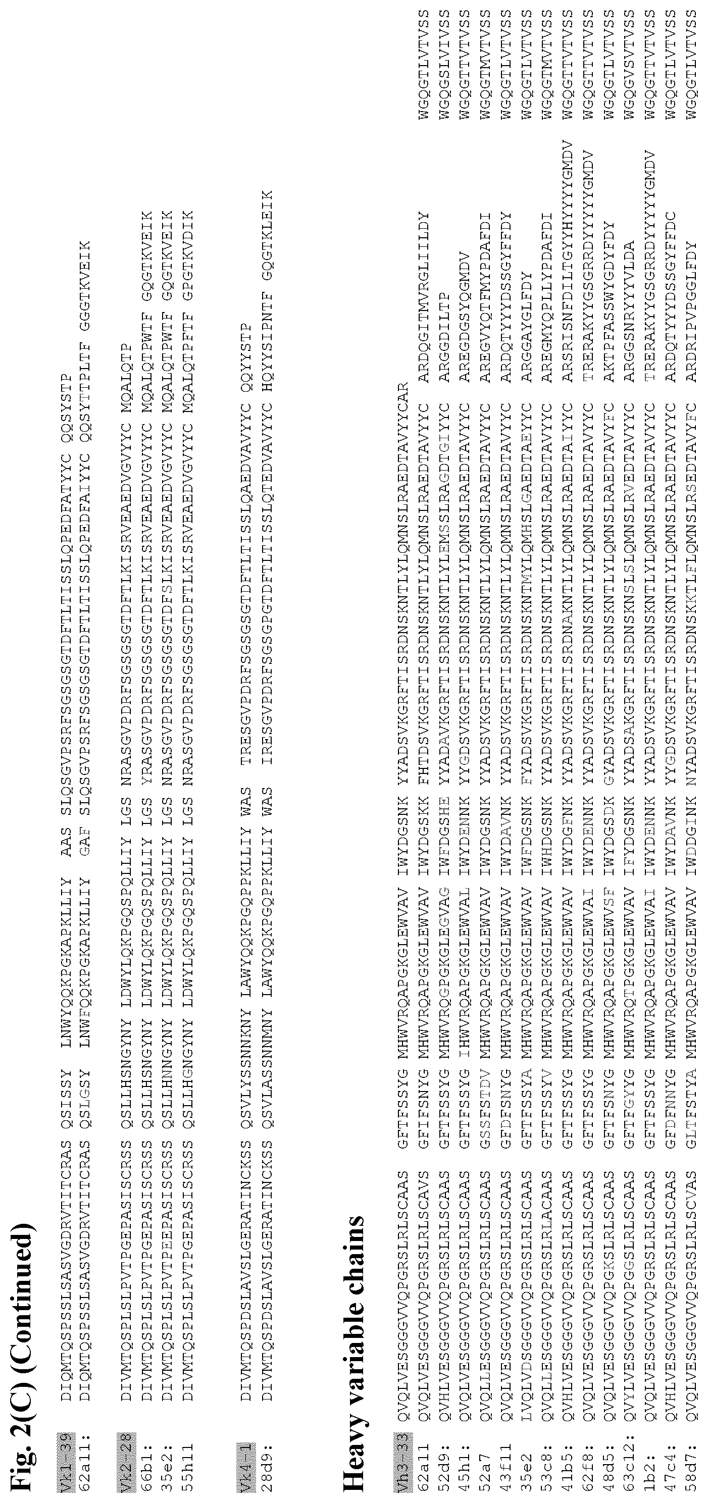 Patent US12599668 Figure 9 – Antibodies