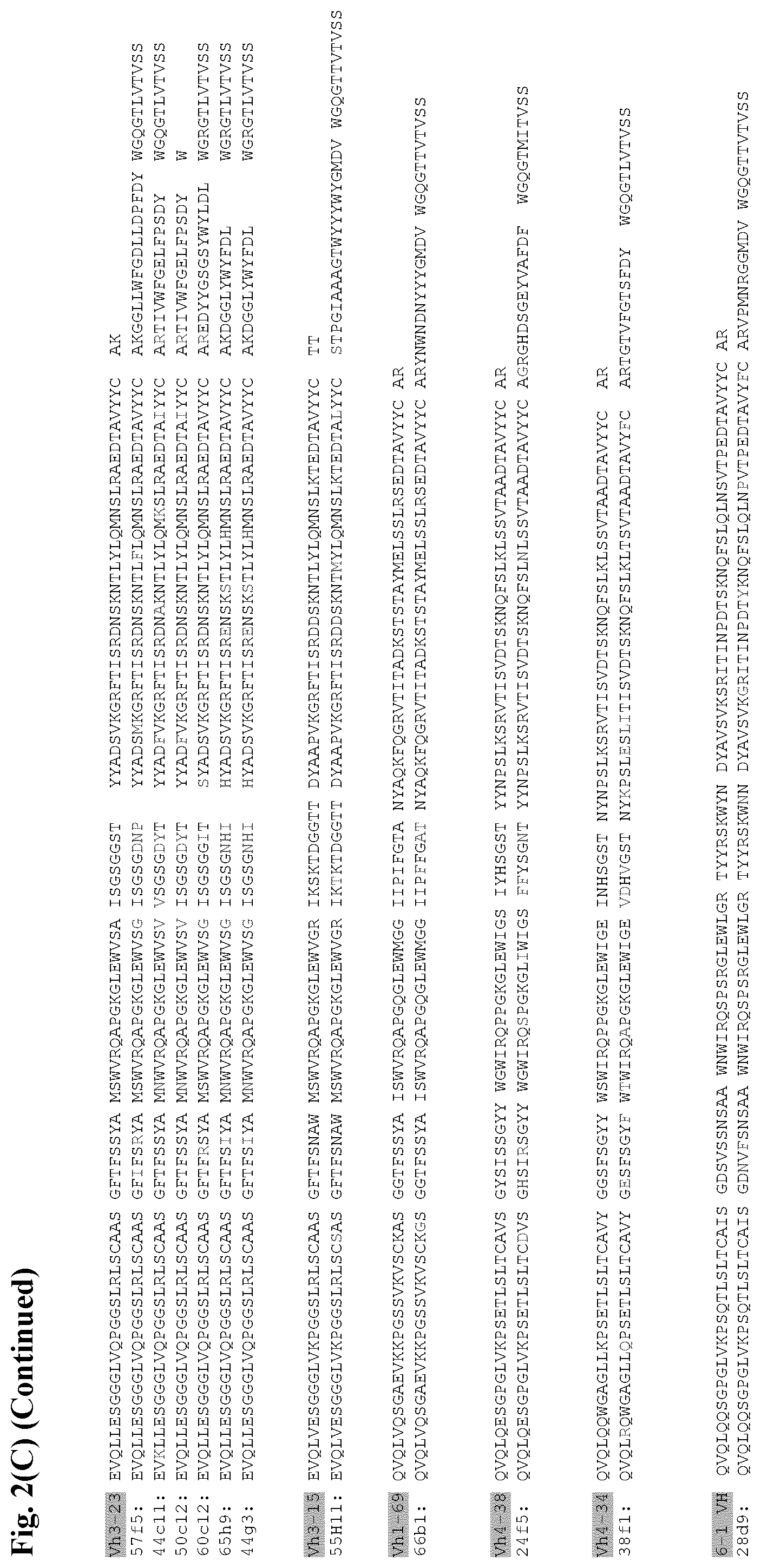 Patent US12599668 Figure 10 – Antibodies