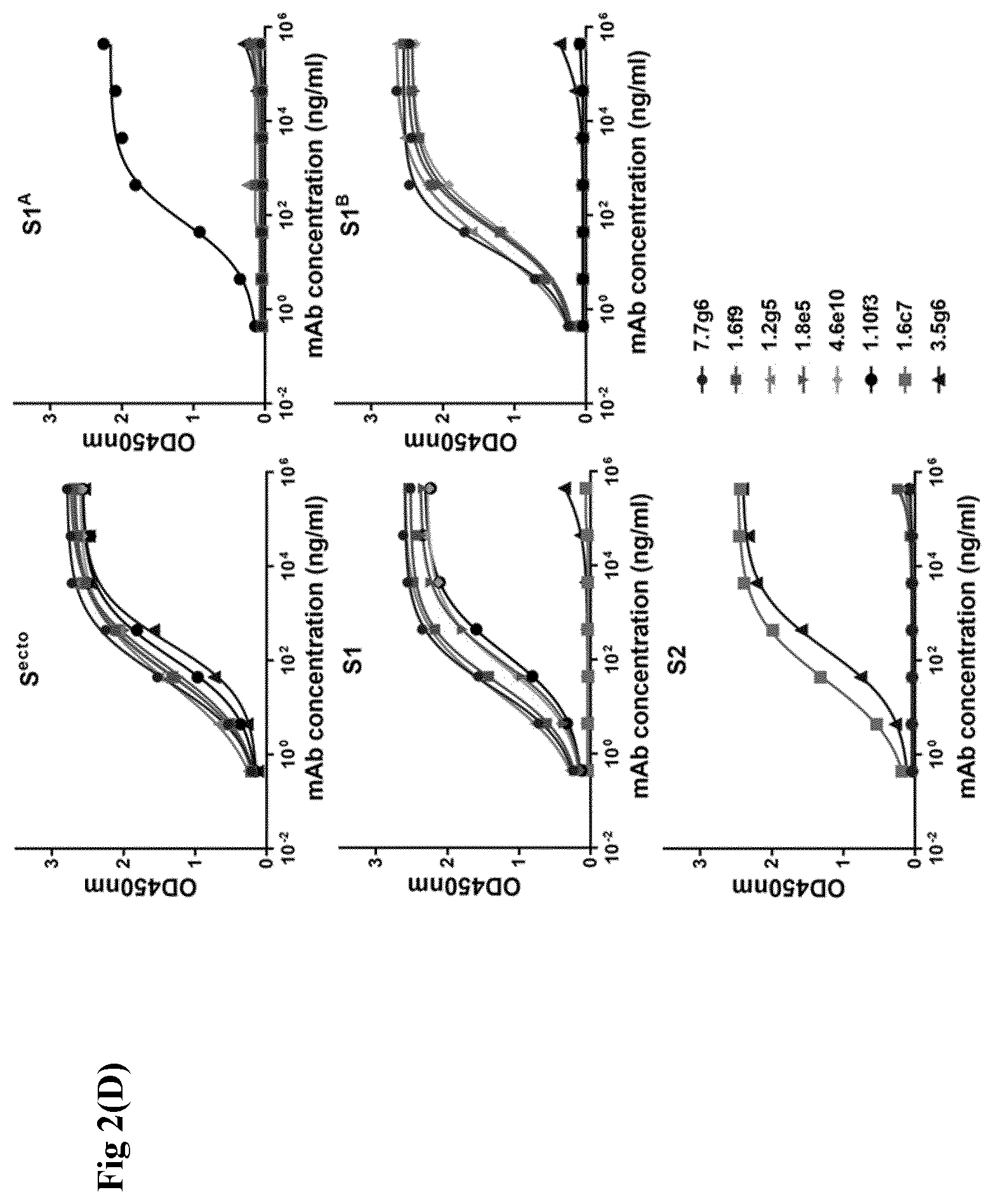 Patent US12599668 Figure 11 – Antibodies