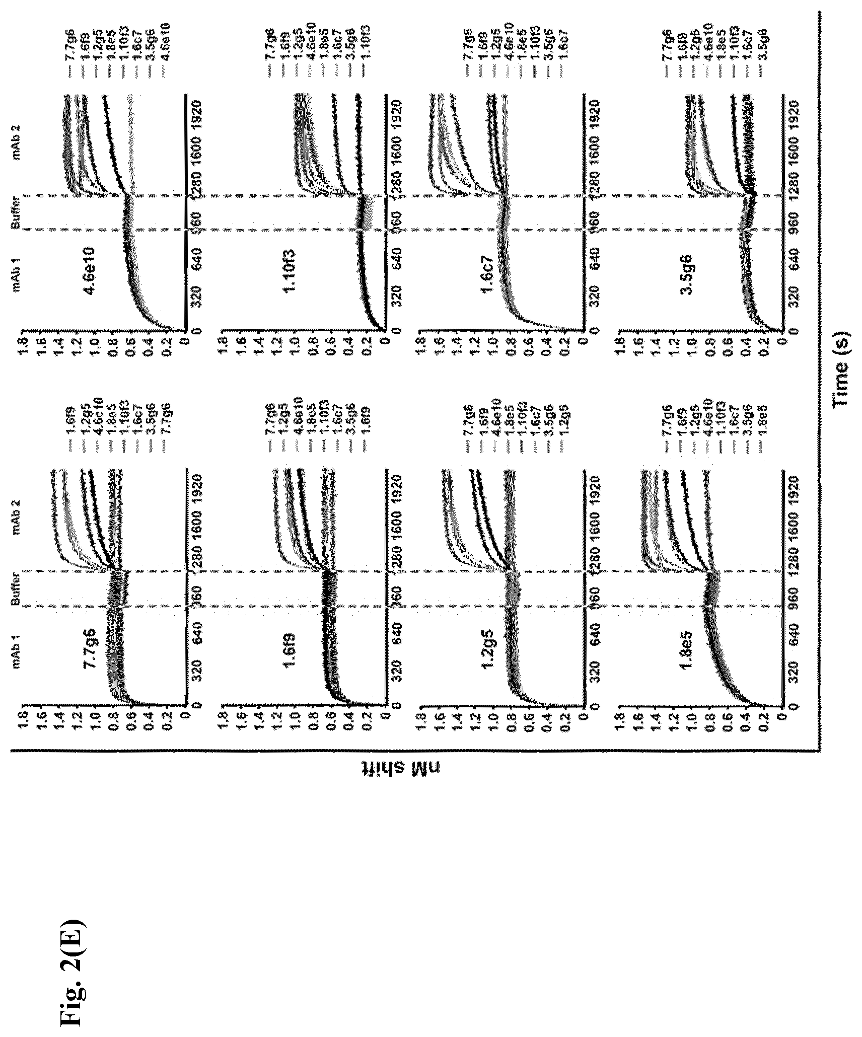 Patent US12599668 Figure 12 – Antibodies