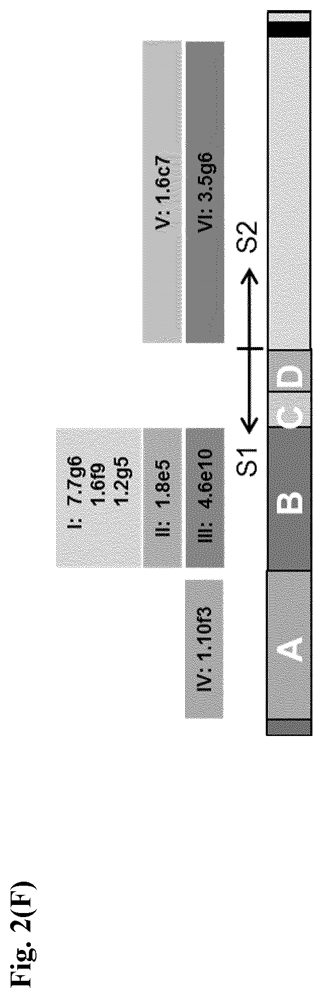 Patent US12599668 Figure 13 – Antibodies