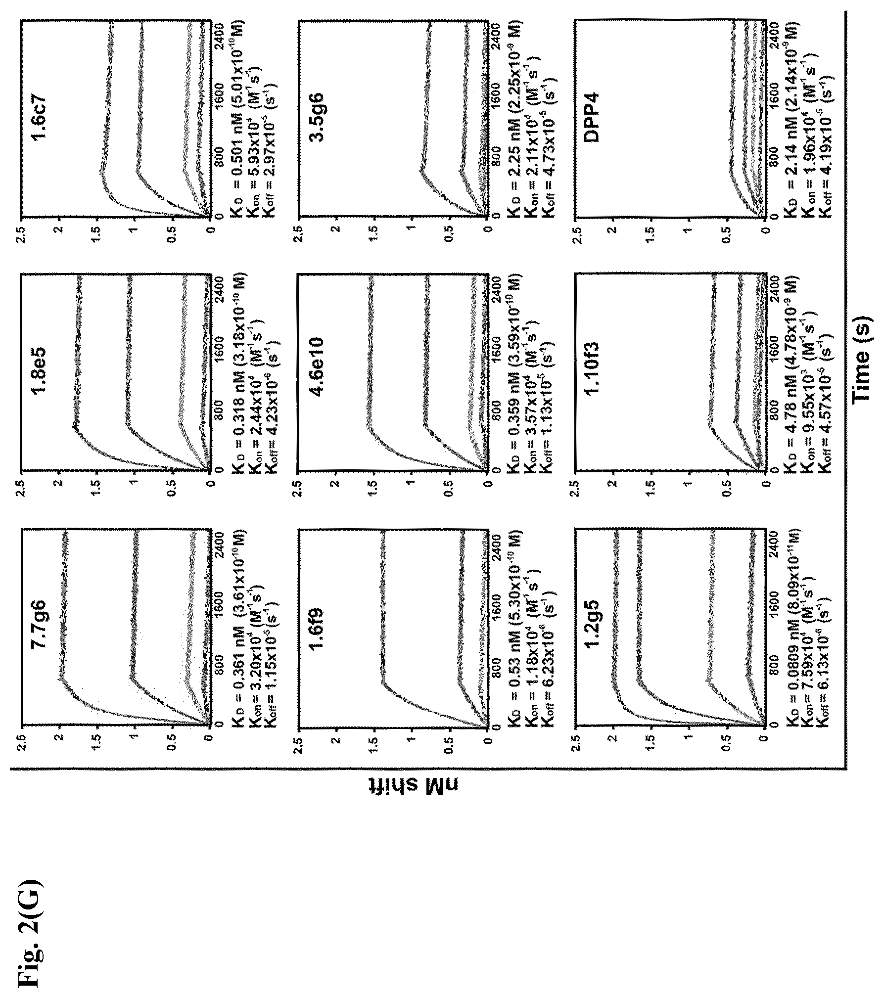 Patent US12599668 Figure 14 – Antibodies