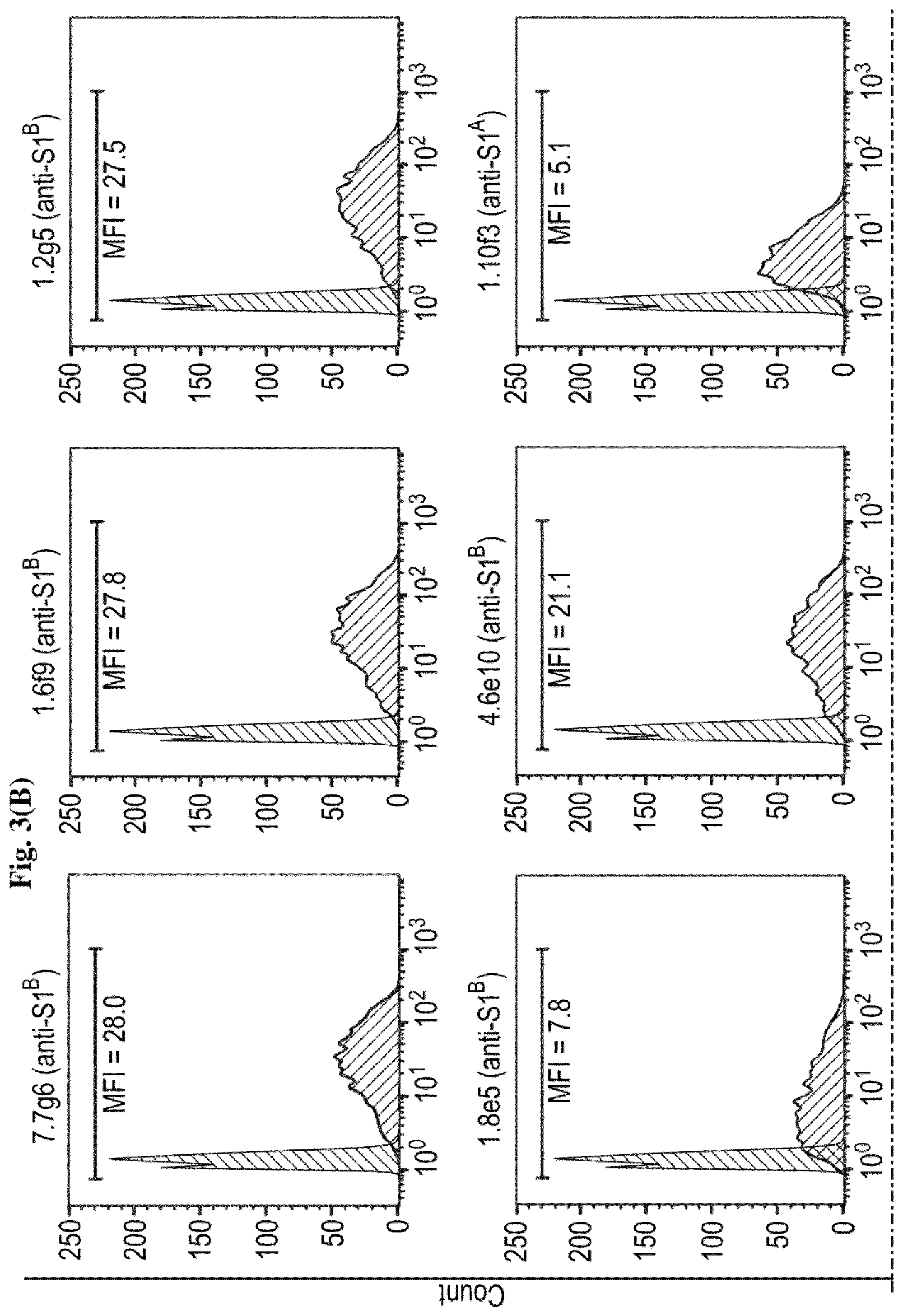 Patent US12599668 Figure 17 – Antibodies