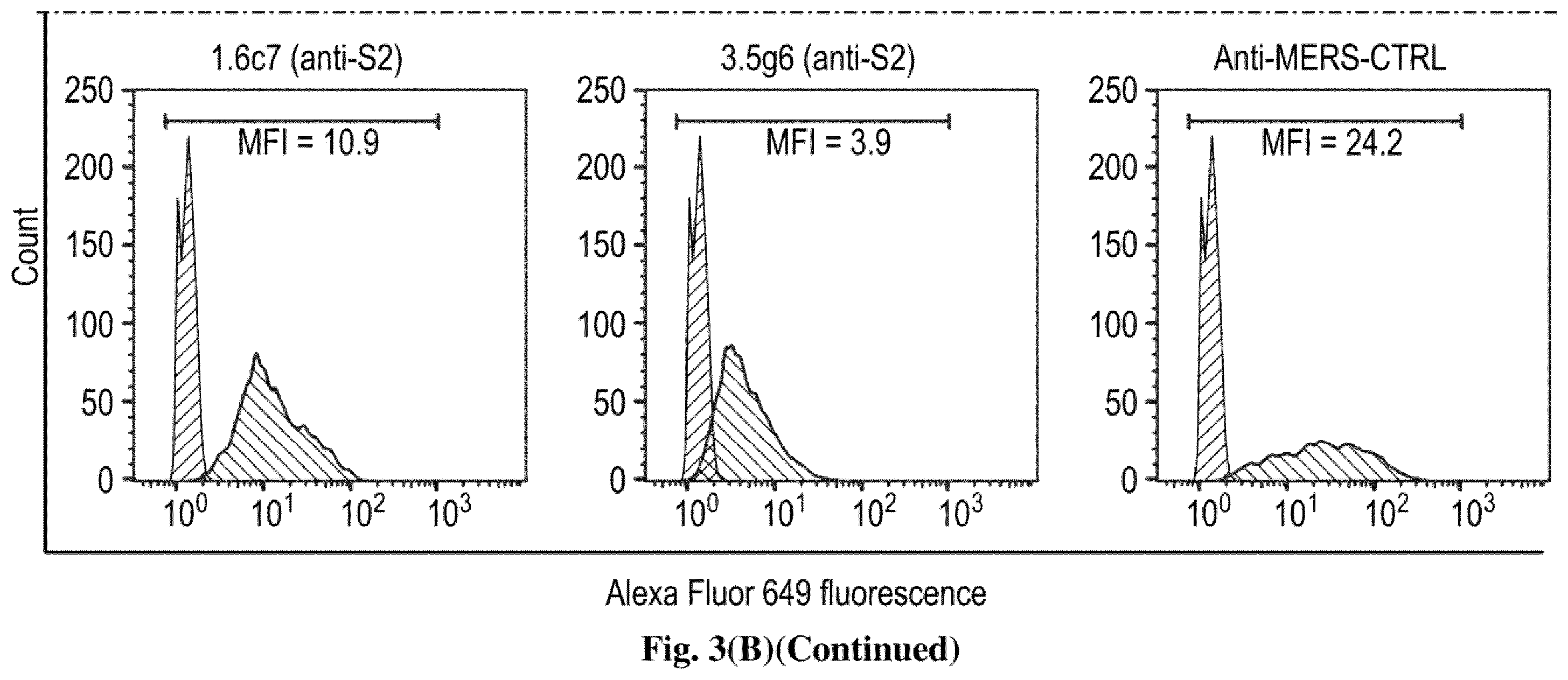 Patent US12599668 Figure 18 – Antibodies