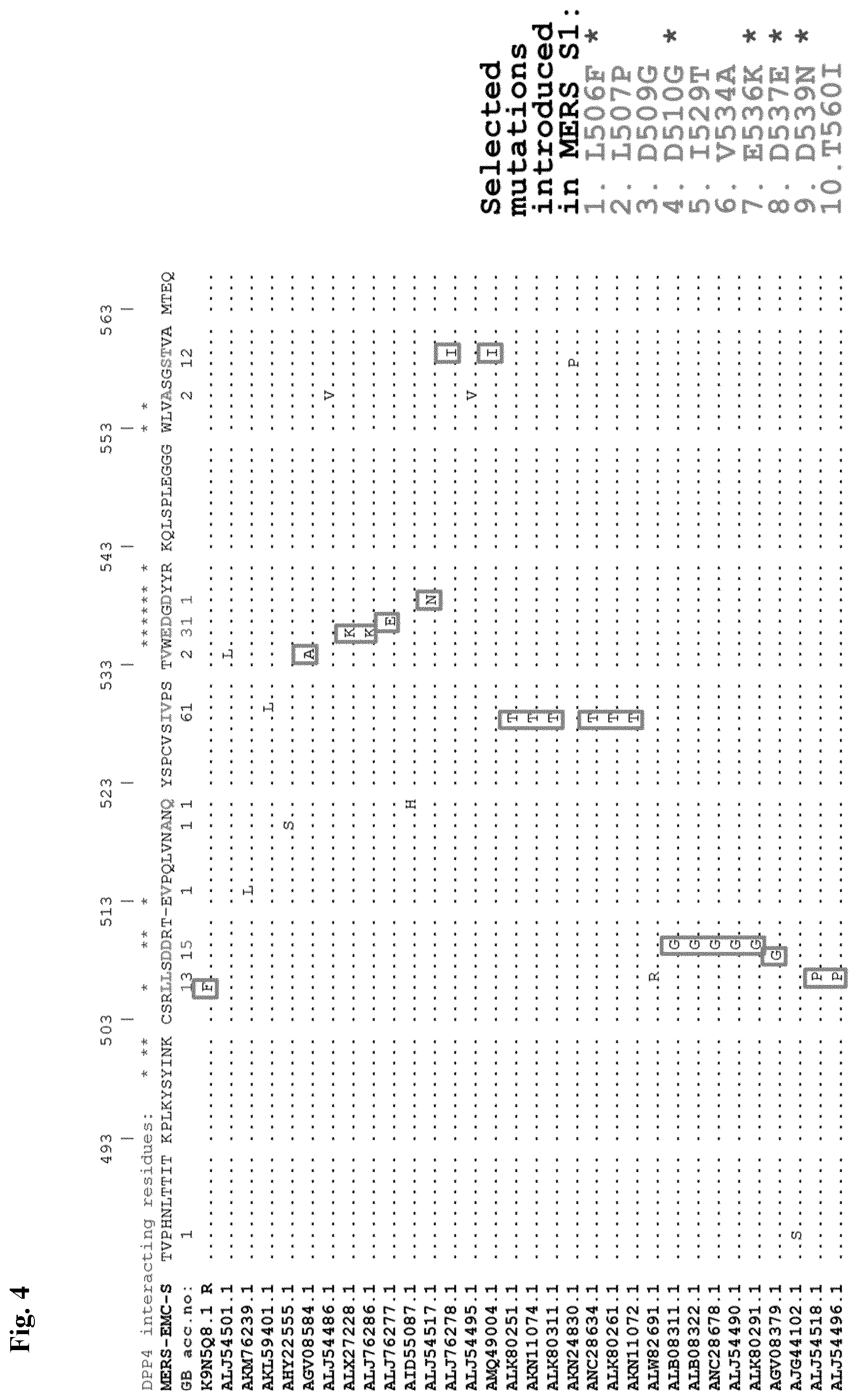 Patent US12599668 Figure 19 – Antibodies