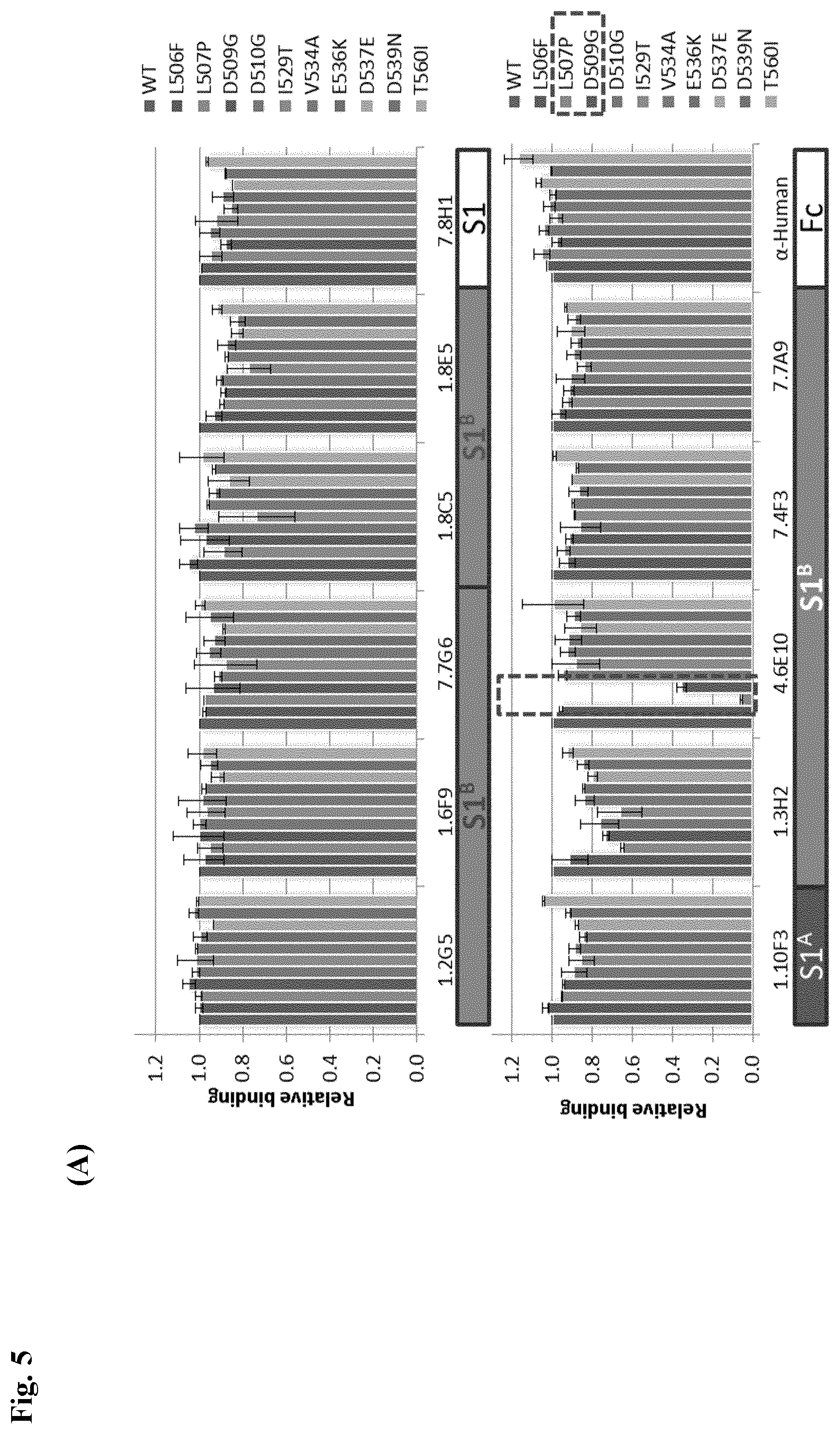 Patent US12599668 Figure 20 – Antibodies