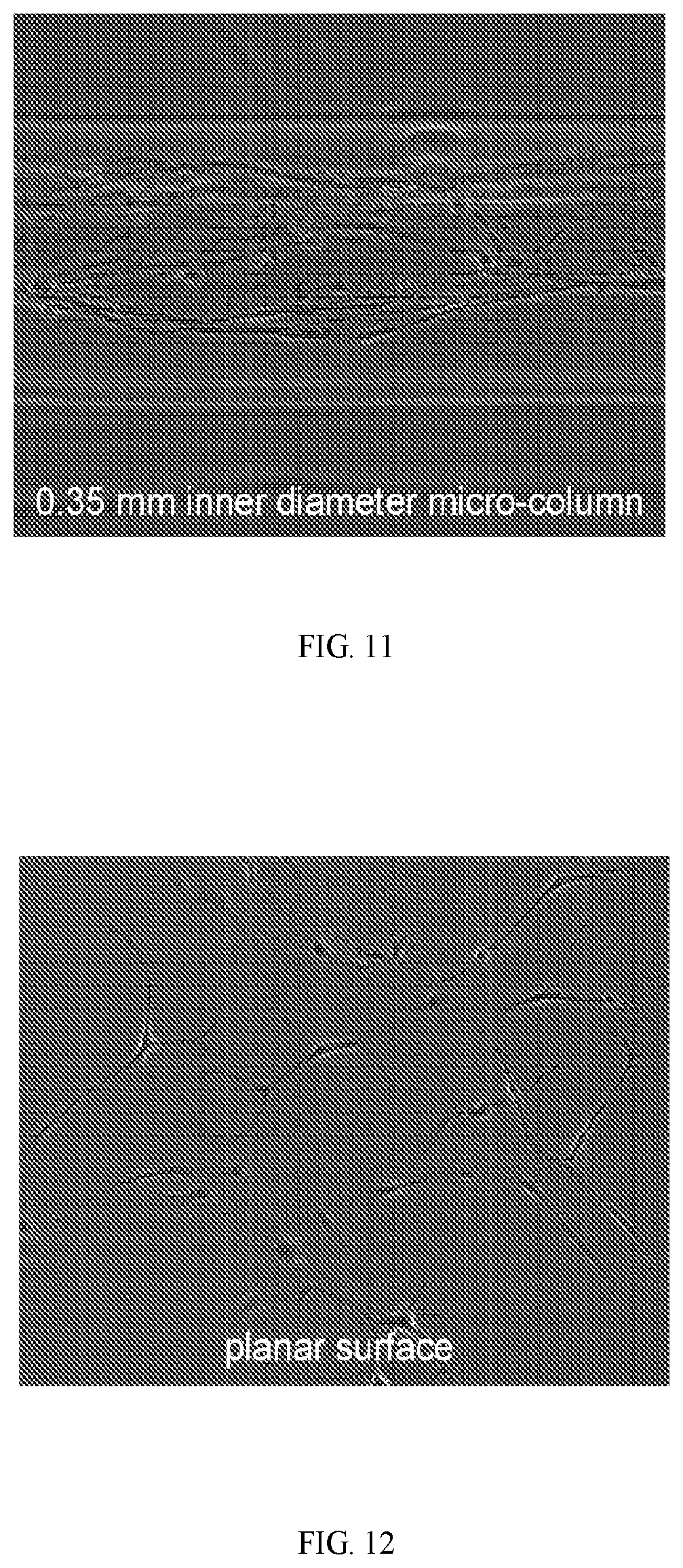 Patent US12599670 Figure 7 – Composition comprising three-dimensional astrocyte bundles of bi-polar and aligned astrocyte processes and a method of making thereof