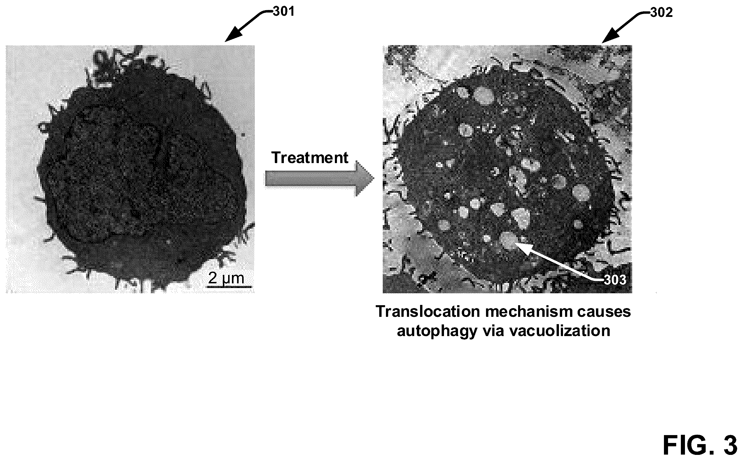 Patent US12599673 Figure 3 – Techniques for enhancing the selectivity and efficacy of antimicrobial and anticancer polymer agents
