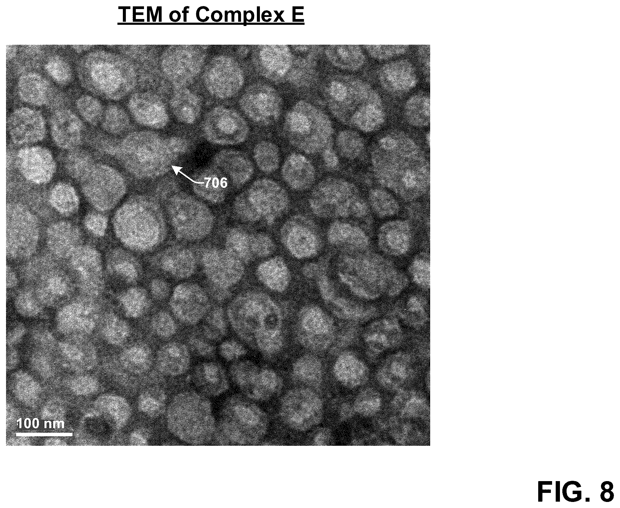 Patent US12599673 Figure 9 – Techniques for enhancing the selectivity and efficacy of antimicrobial and anticancer polymer agents