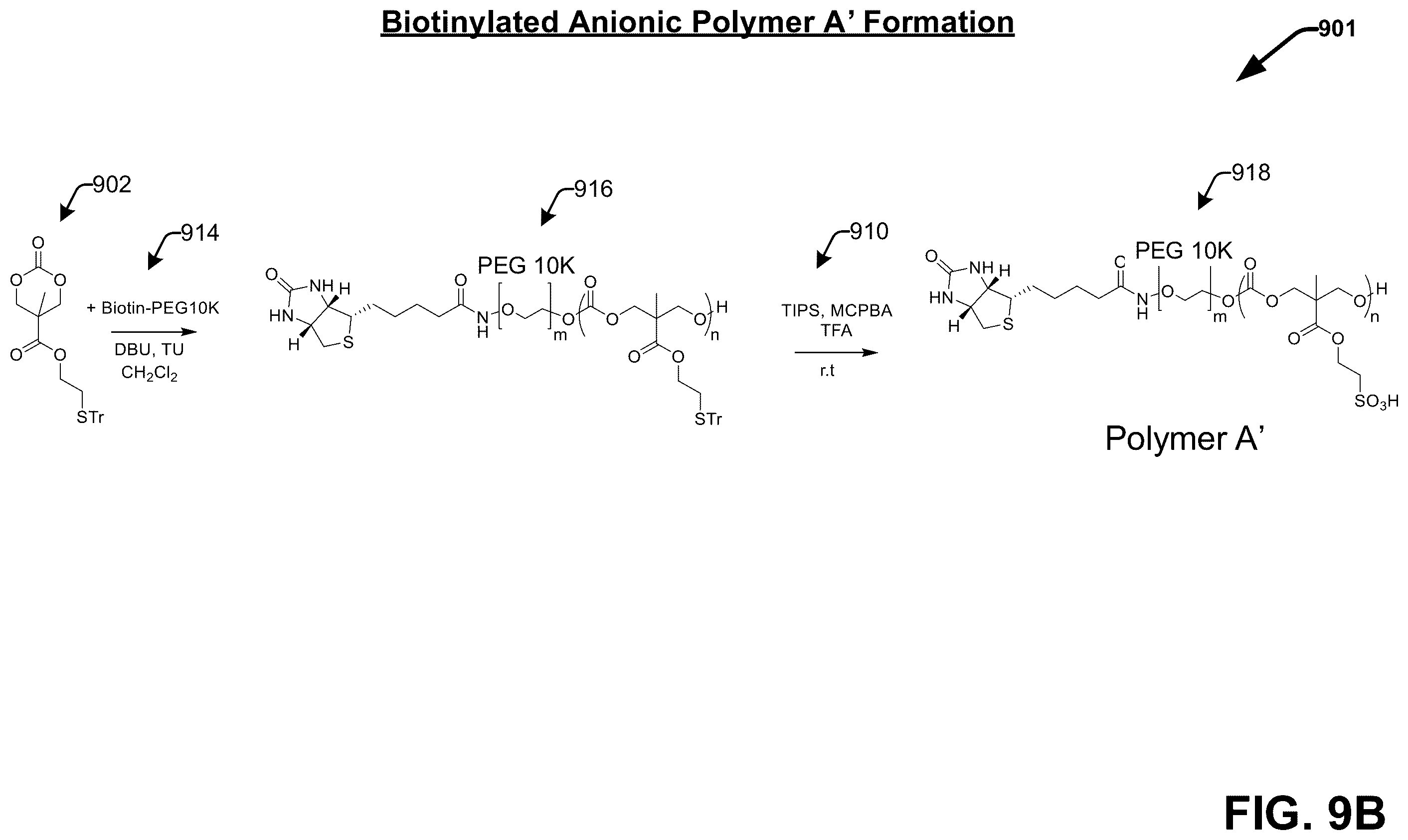 Patent US12599673 Figure 11 – Techniques for enhancing the selectivity and efficacy of antimicrobial and anticancer polymer agents