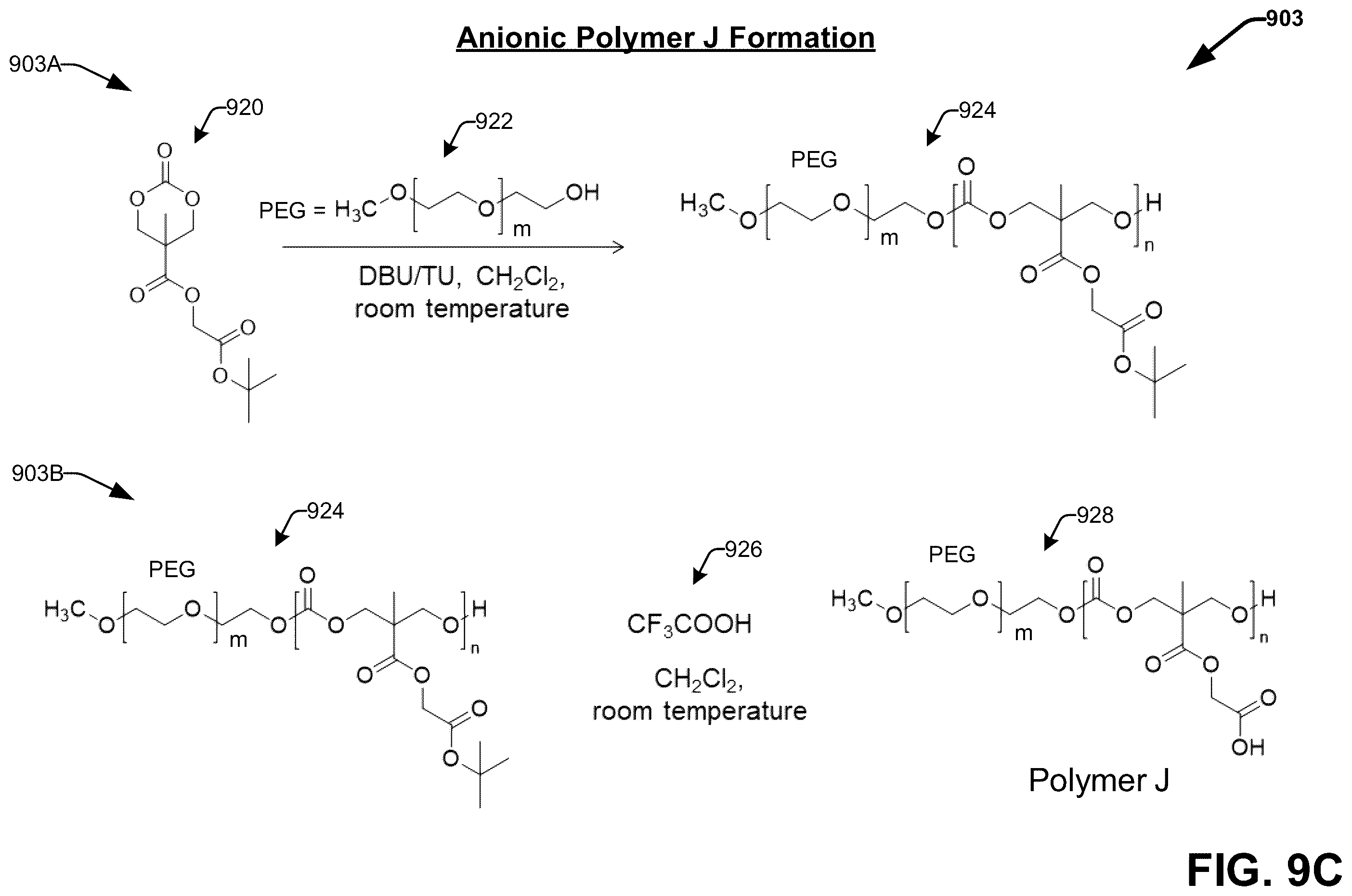 Patent US12599673 Figure 12 – Techniques for enhancing the selectivity and efficacy of antimicrobial and anticancer polymer agents