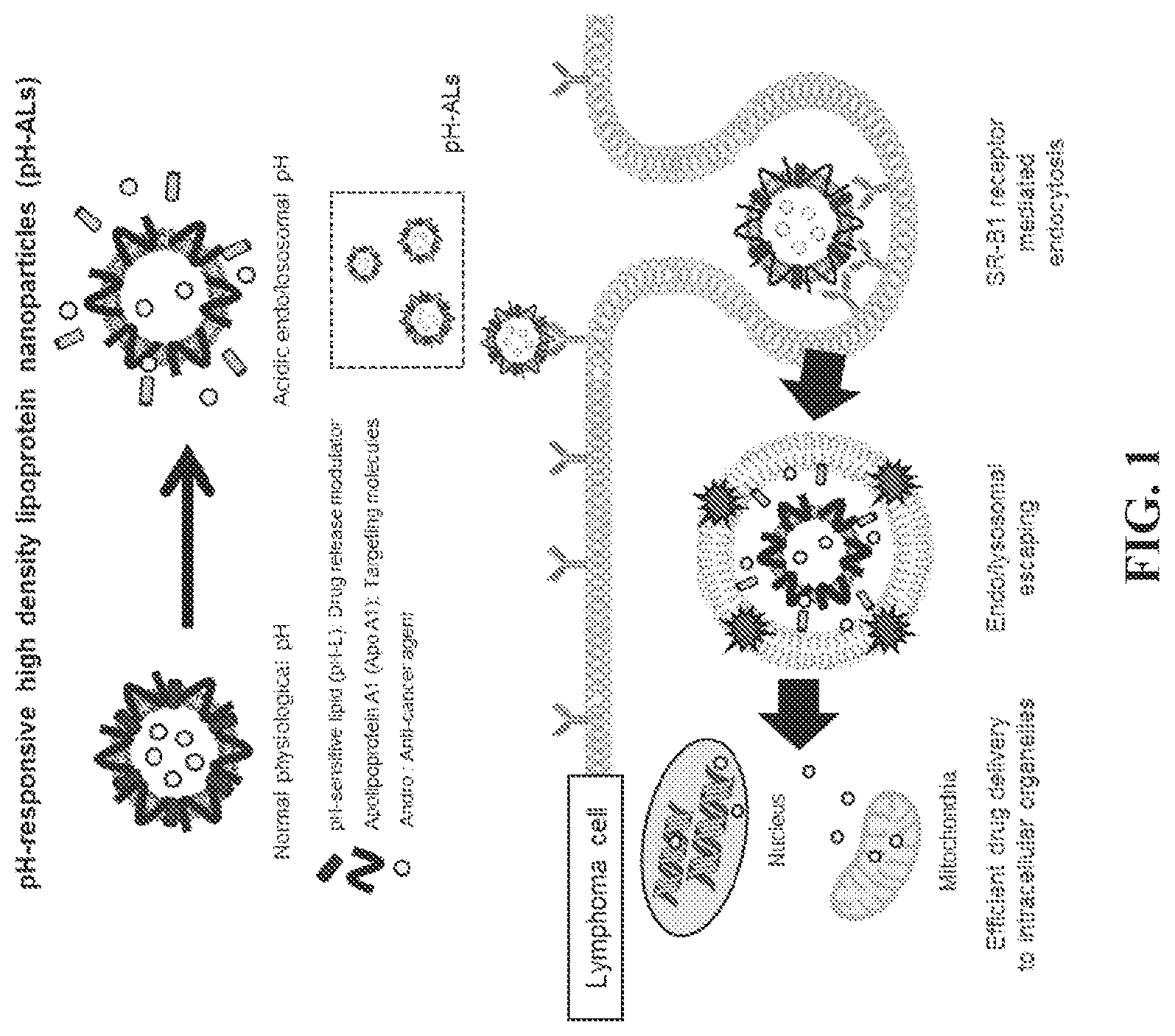 Patent US12599677 Figure 1 – Targeted PH sensitive liposomes