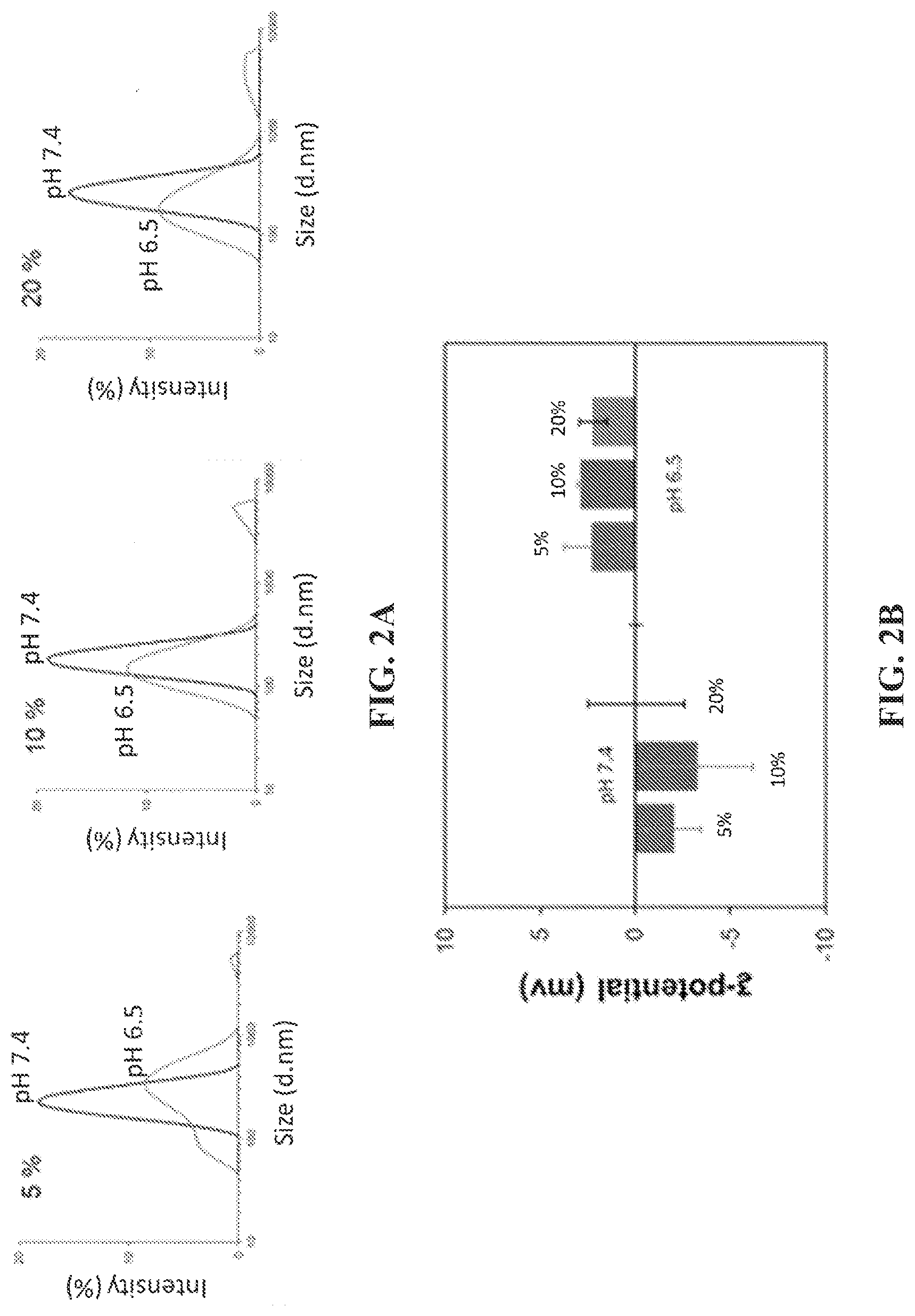 Patent US12599677 Figure 2 – Targeted PH sensitive liposomes