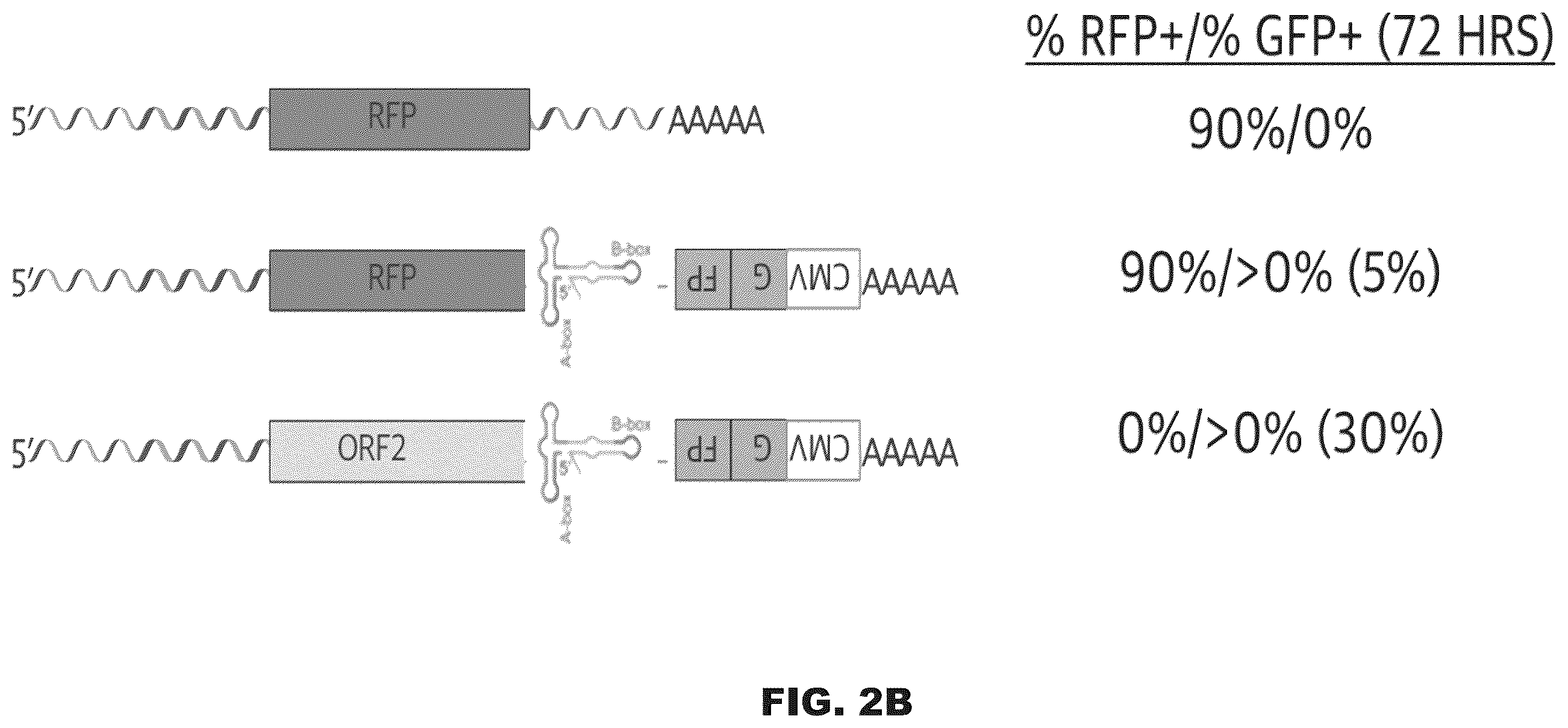 Patent US12599678 Figure 7 – Methods and compositions for genomic integration