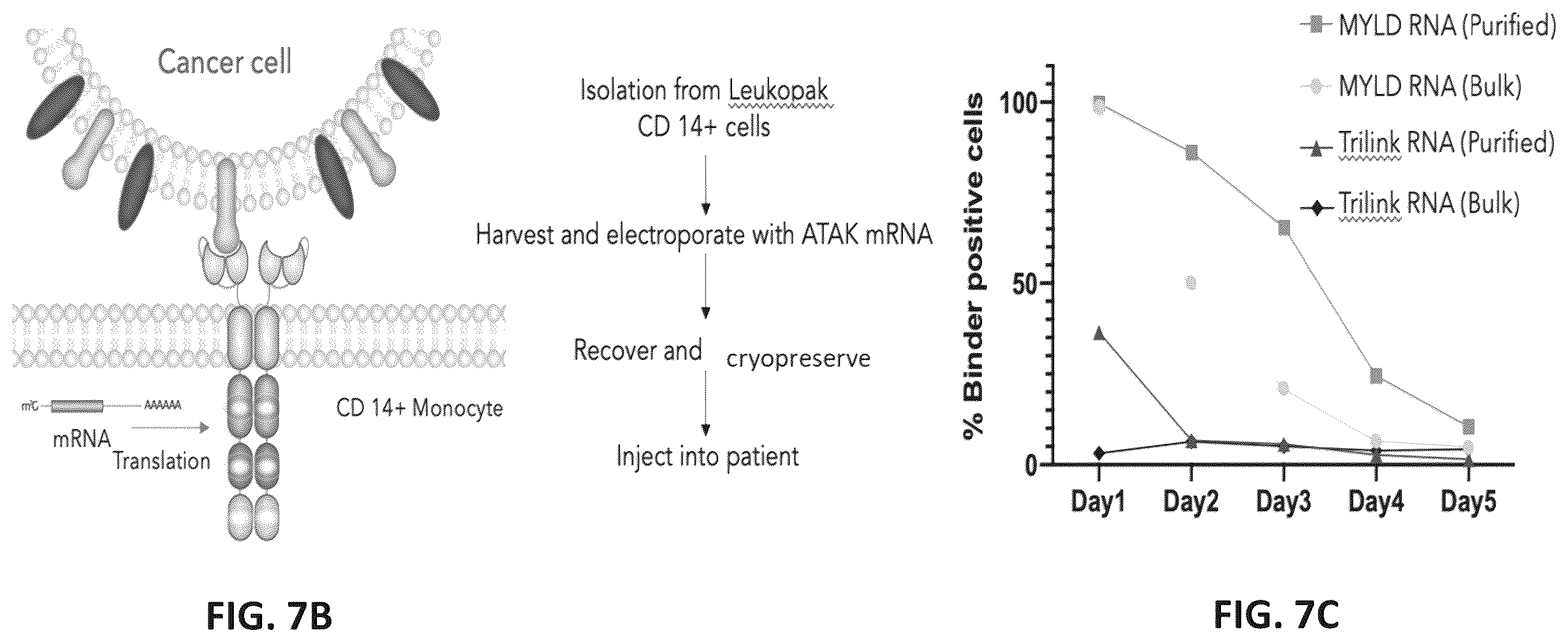 Patent US12599678 Figure 16 – Methods and compositions for genomic integration