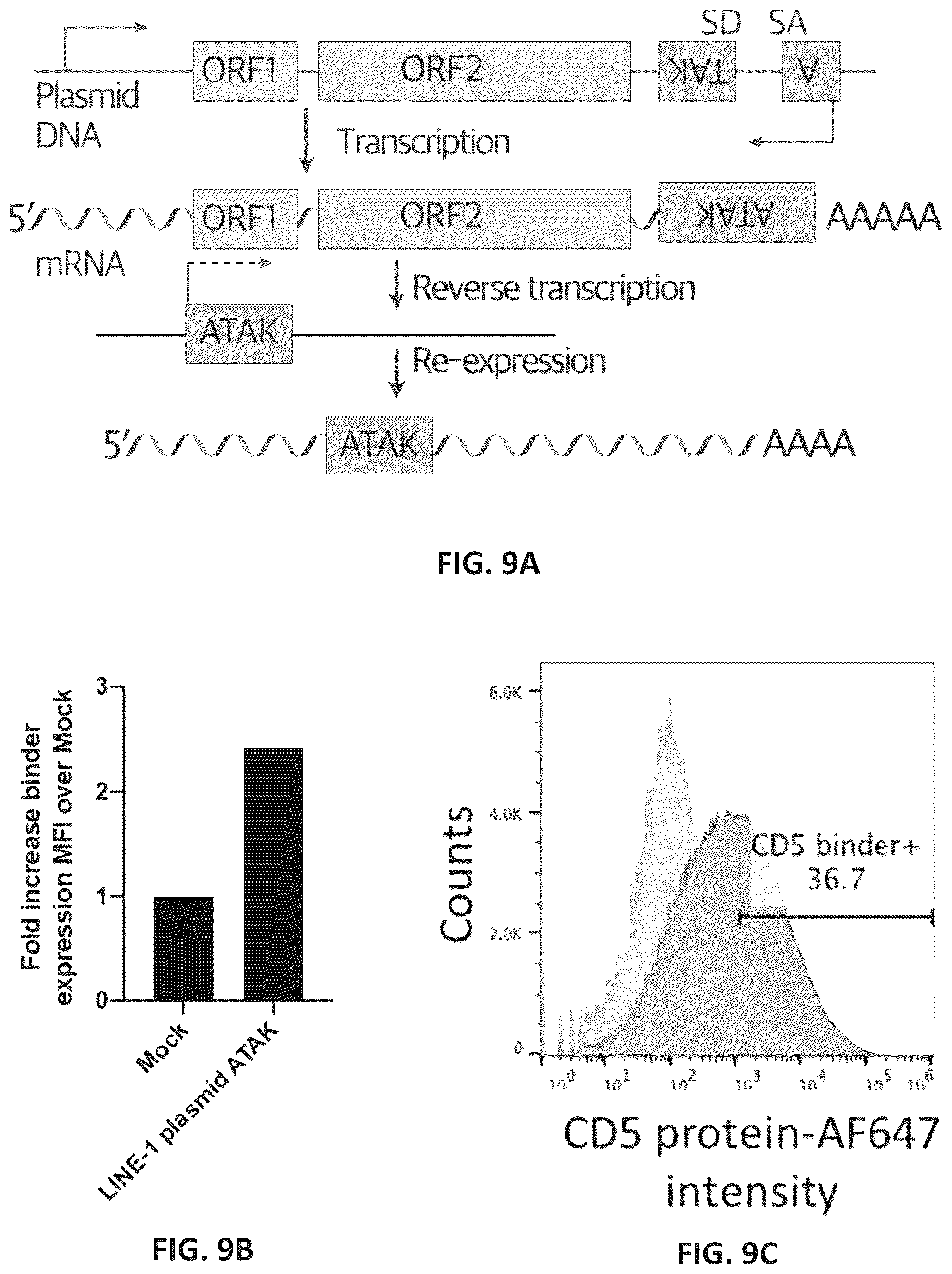 Patent US12599678 Figure 18 – Methods and compositions for genomic integration