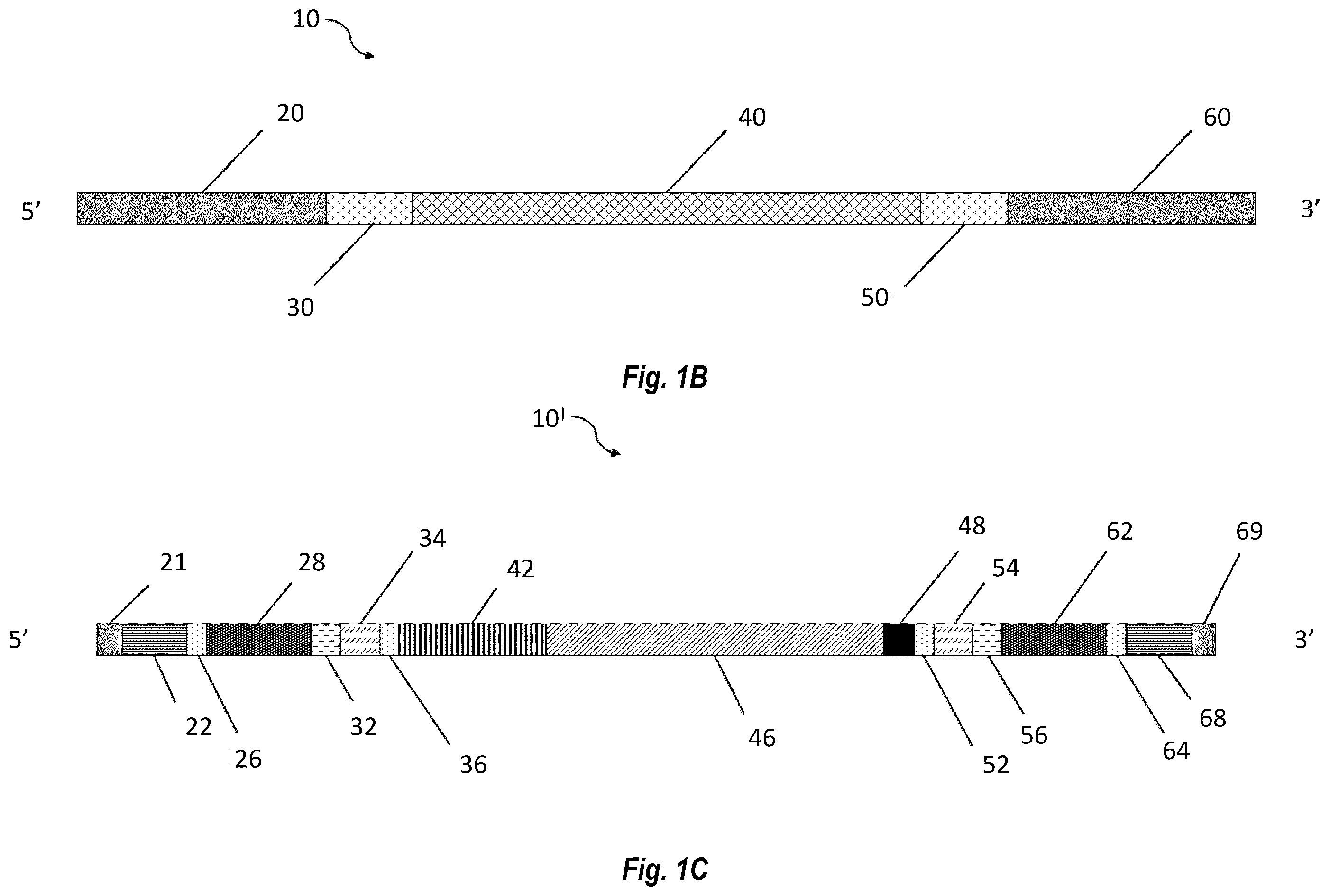 Patent US12599679 Figure 2 – Circular RNA compositions