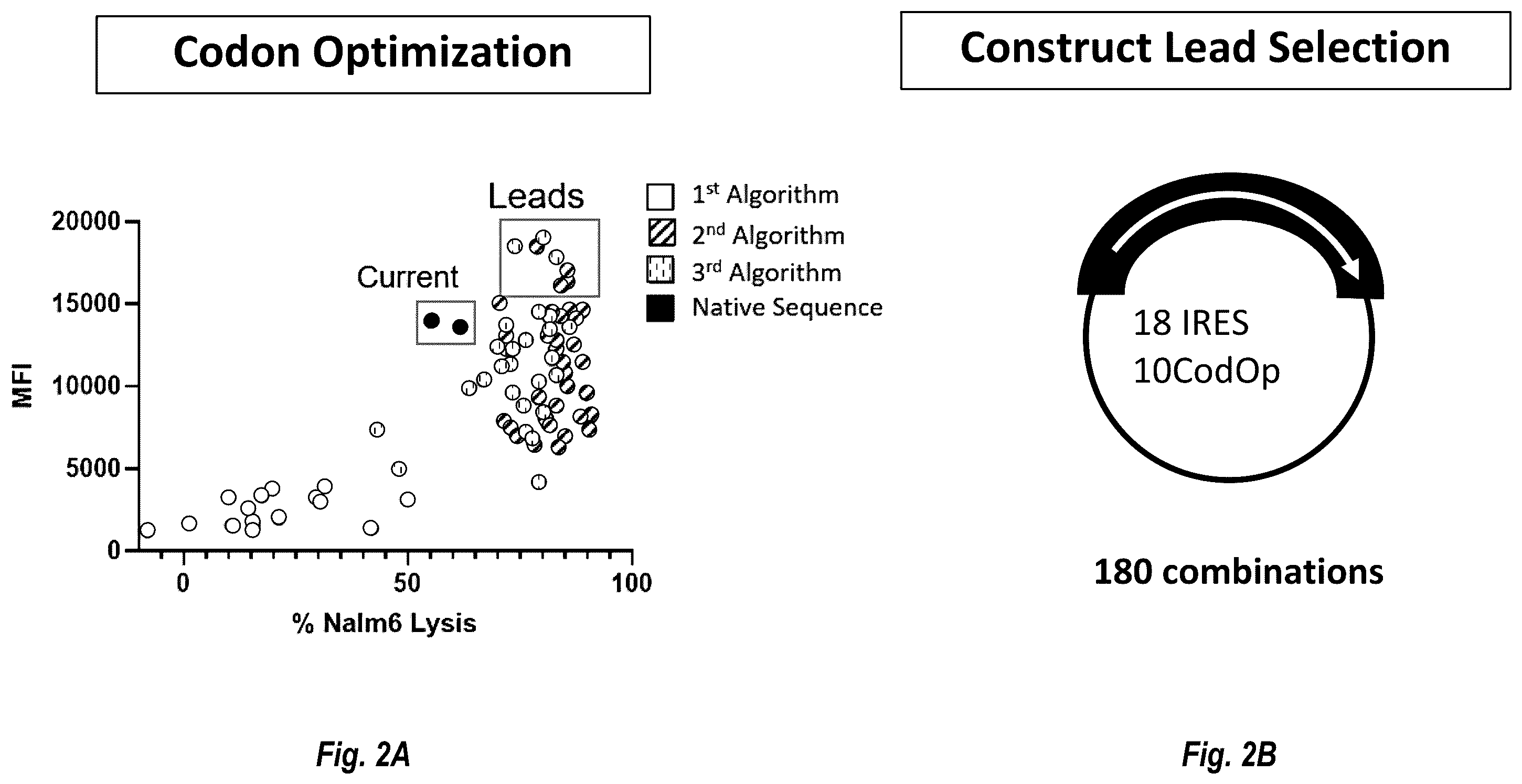 Patent US12599679 Figure 4 – Circular RNA compositions