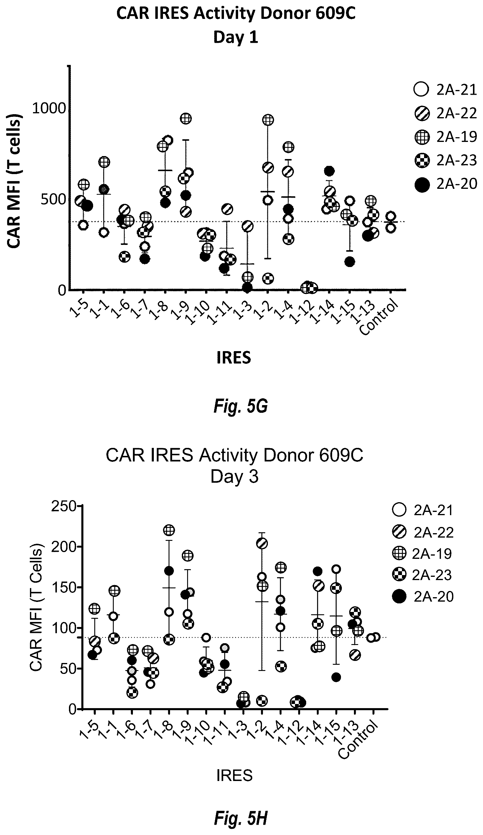 Patent US12599679 Figure 12 – Circular RNA compositions