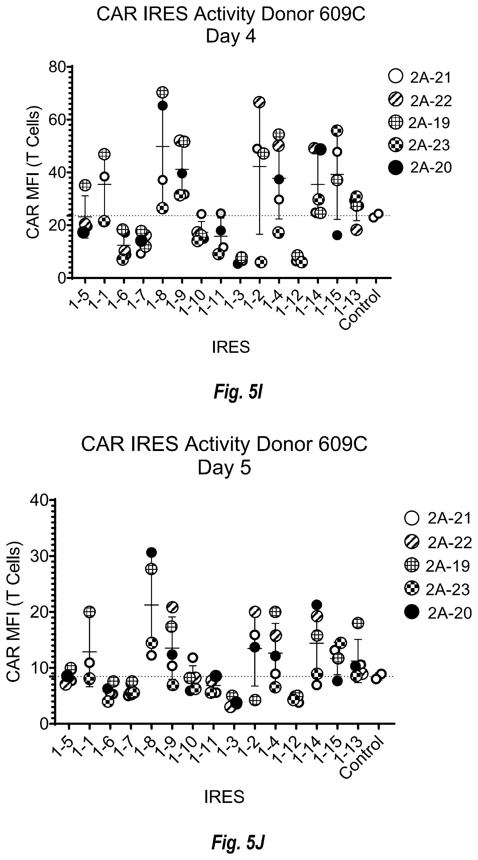 Patent US12599679 Figure 13 – Circular RNA compositions