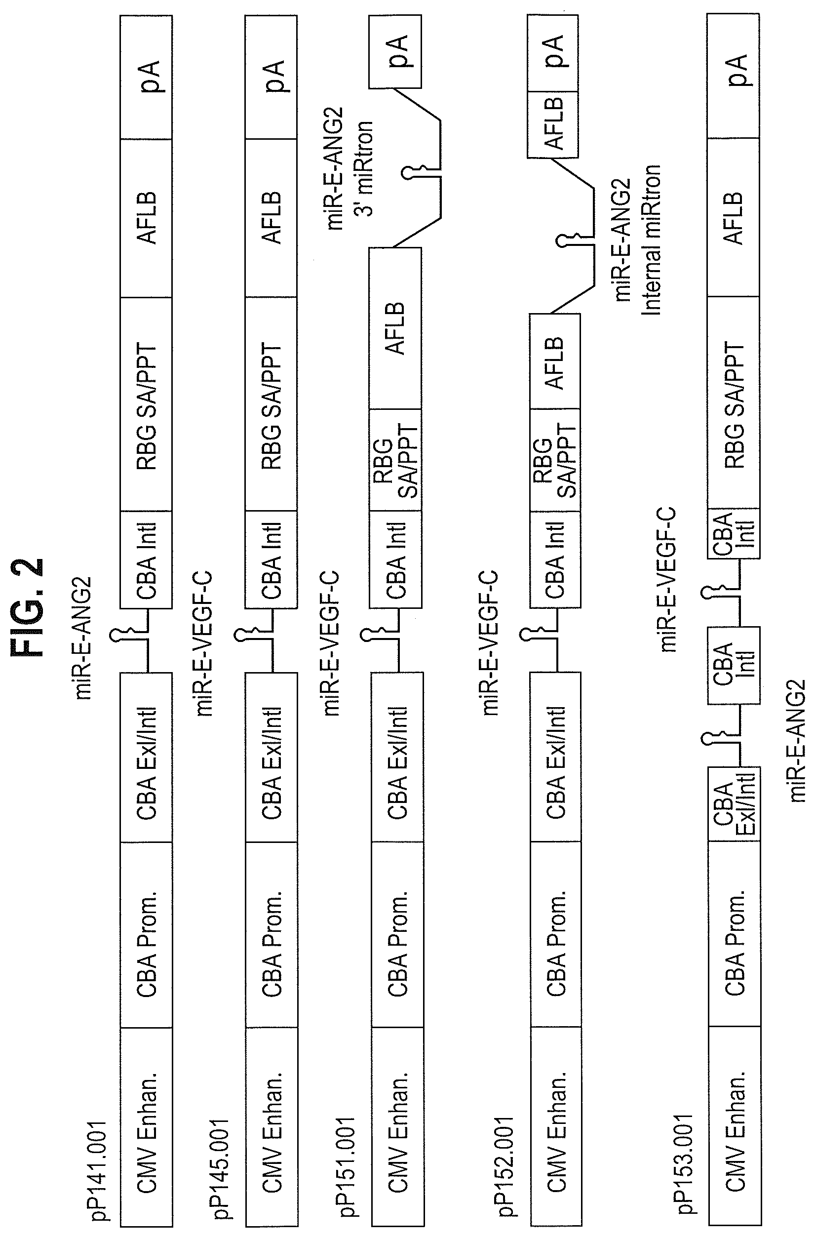 Patent US12599680 Figure 2 – Treatments for ocular neovascularization