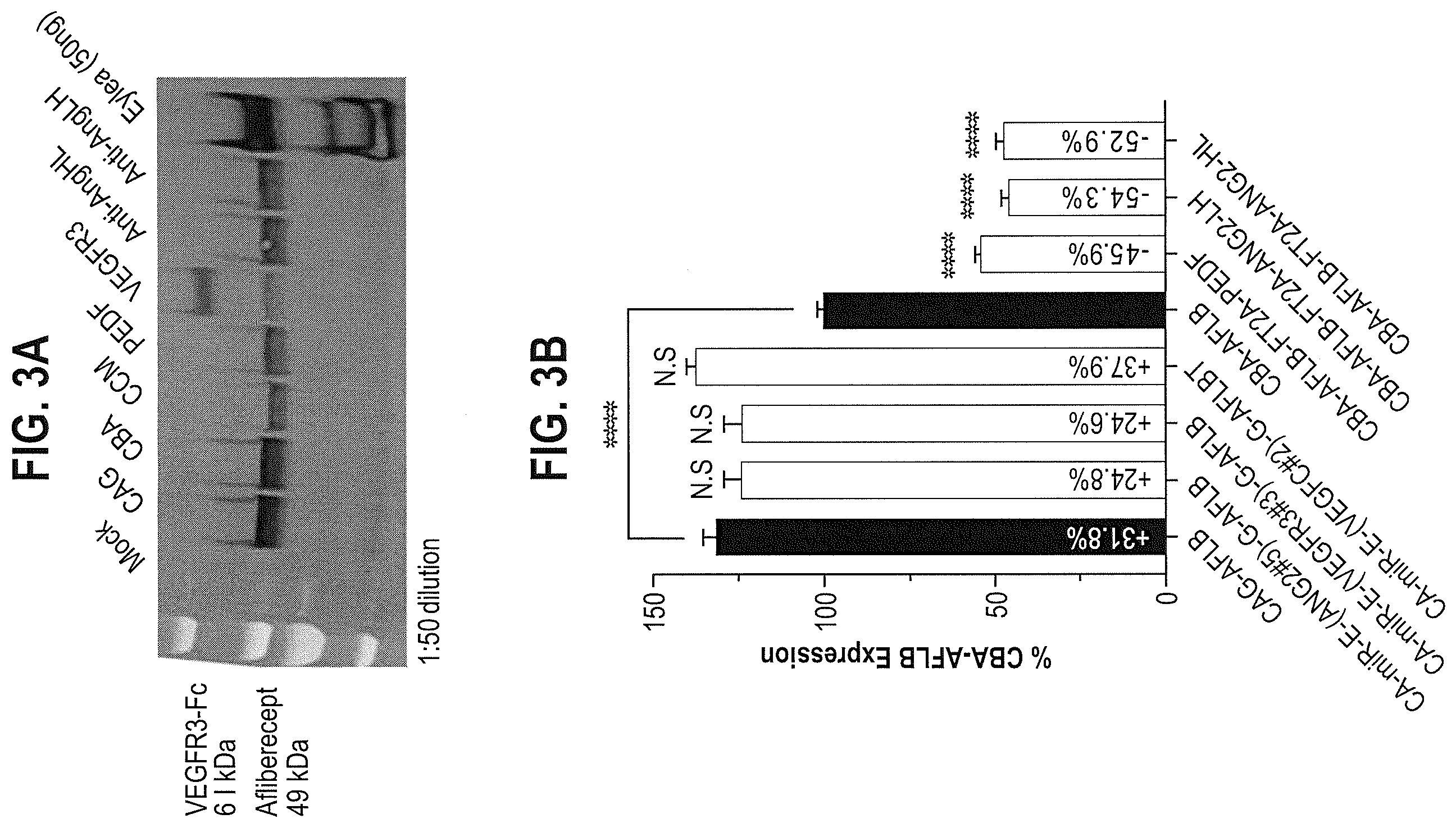 Patent US12599680 Figure 3 – Treatments for ocular neovascularization