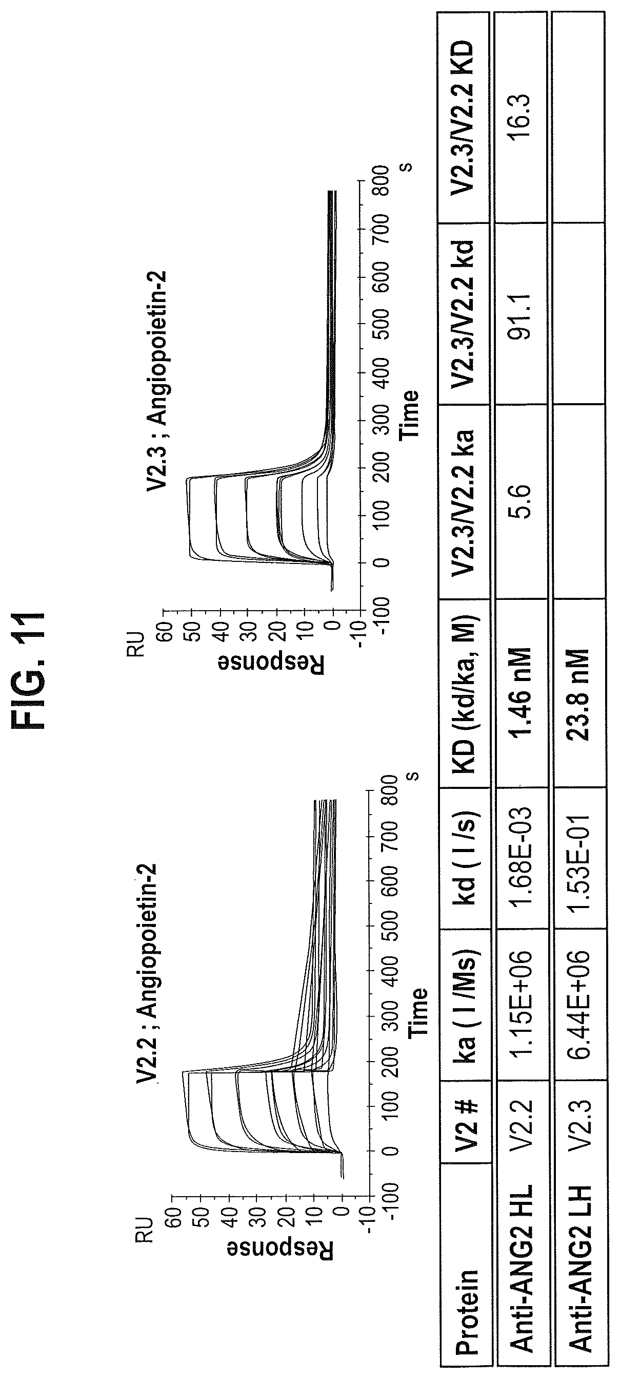 Patent US12599680 Figure 14 – Treatments for ocular neovascularization