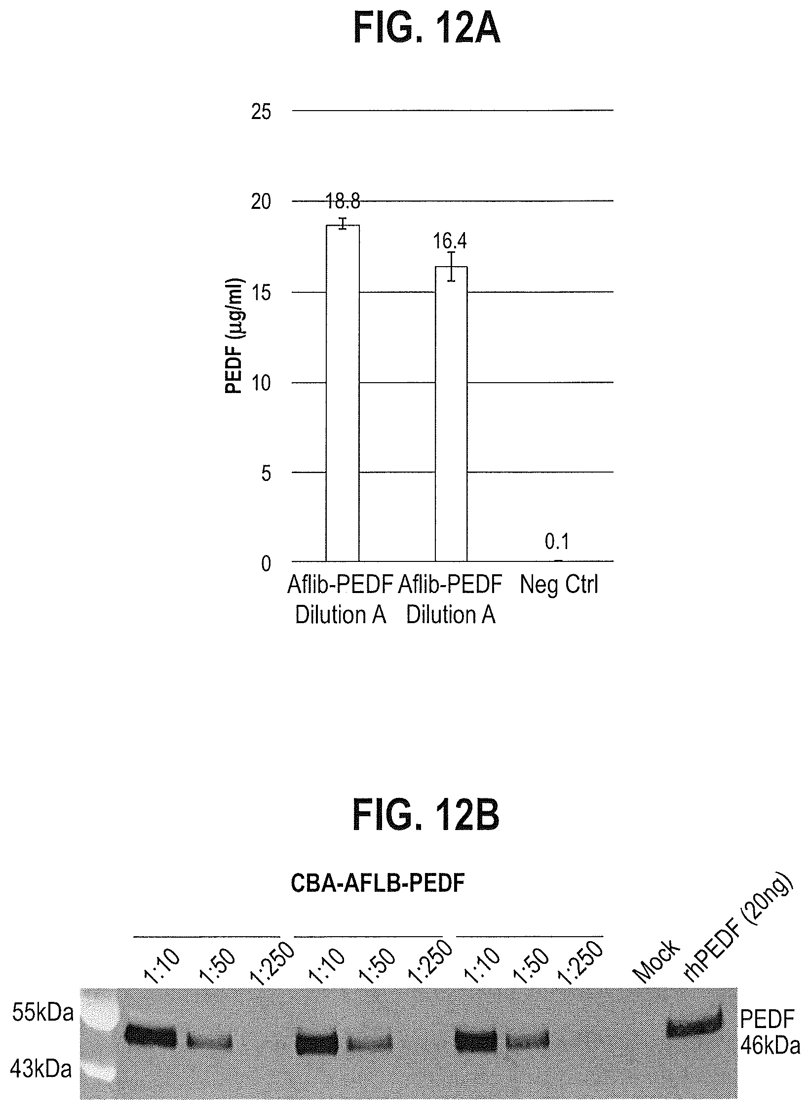 Patent US12599680 Figure 15 – Treatments for ocular neovascularization