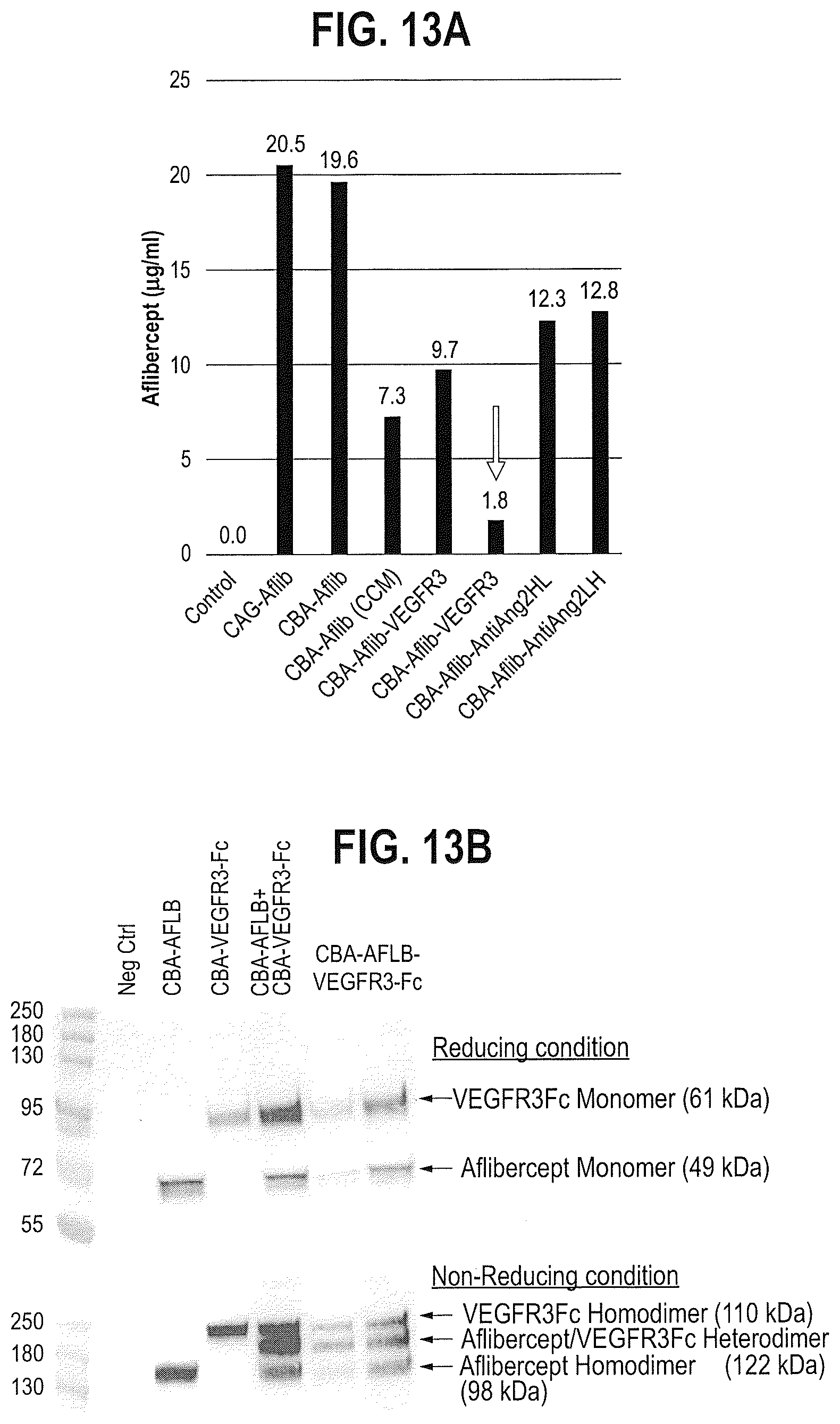 Patent US12599680 Figure 16 – Treatments for ocular neovascularization