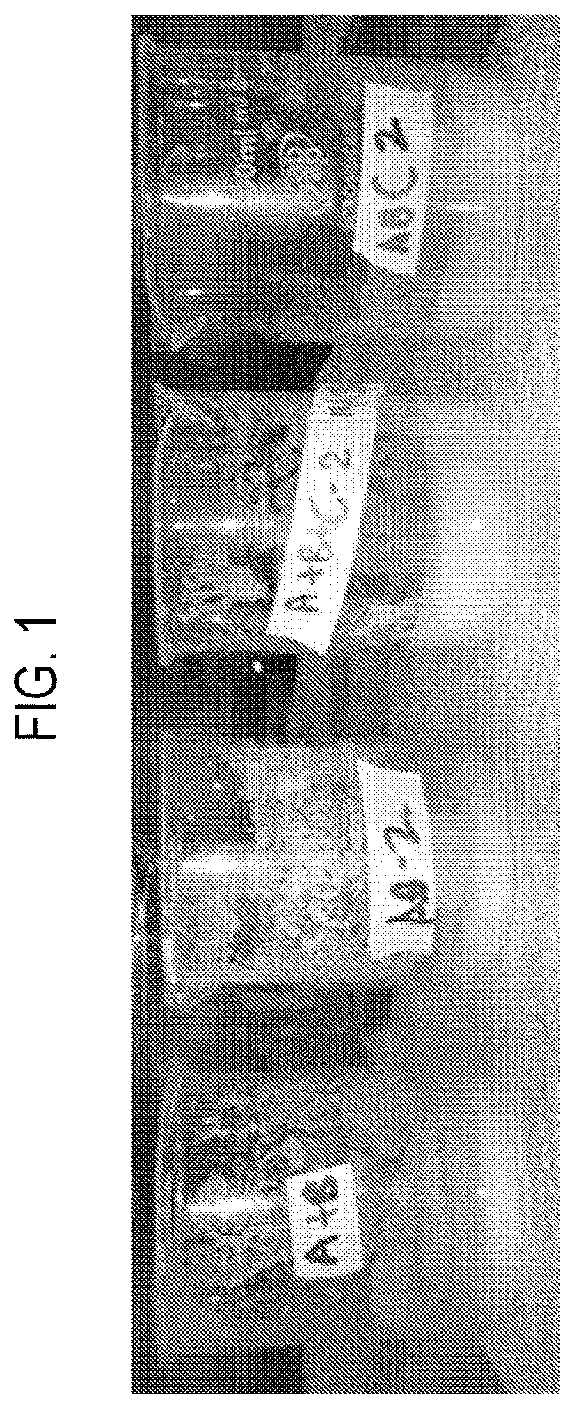 Patent US12599681 Figure 1 – Foamable composition for use in surgical diagnostic procedures