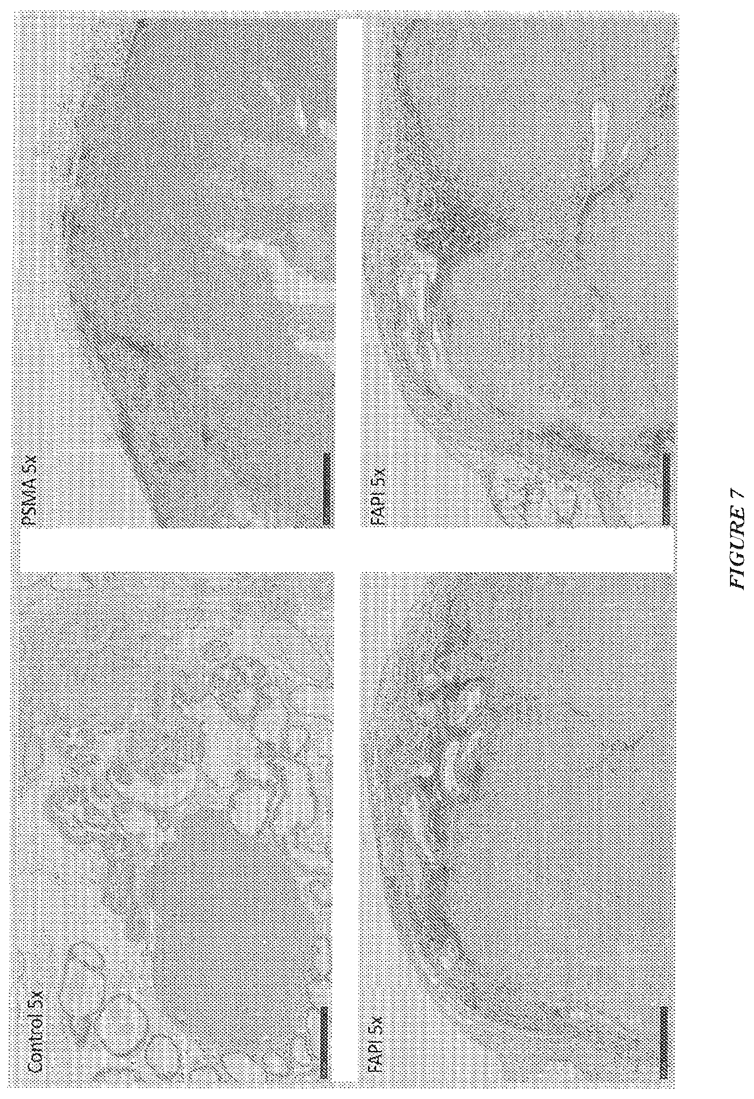Patent US12599683 Figure 5 – Mapping nanoparticles