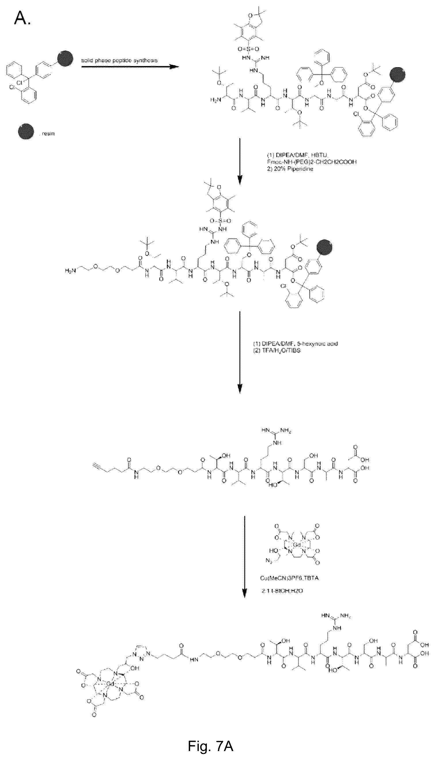 Patent US12599684 Figure 5 – Molecular probes and methods of use