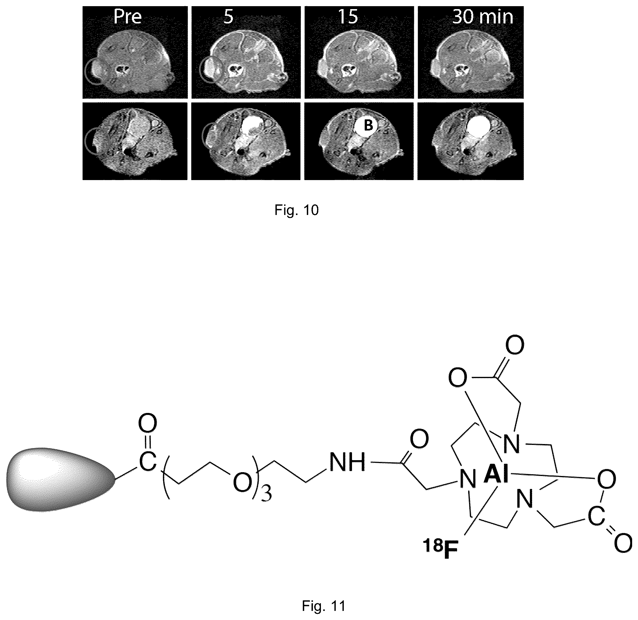 Patent US12599684 Figure 11 – Molecular probes and methods of use
