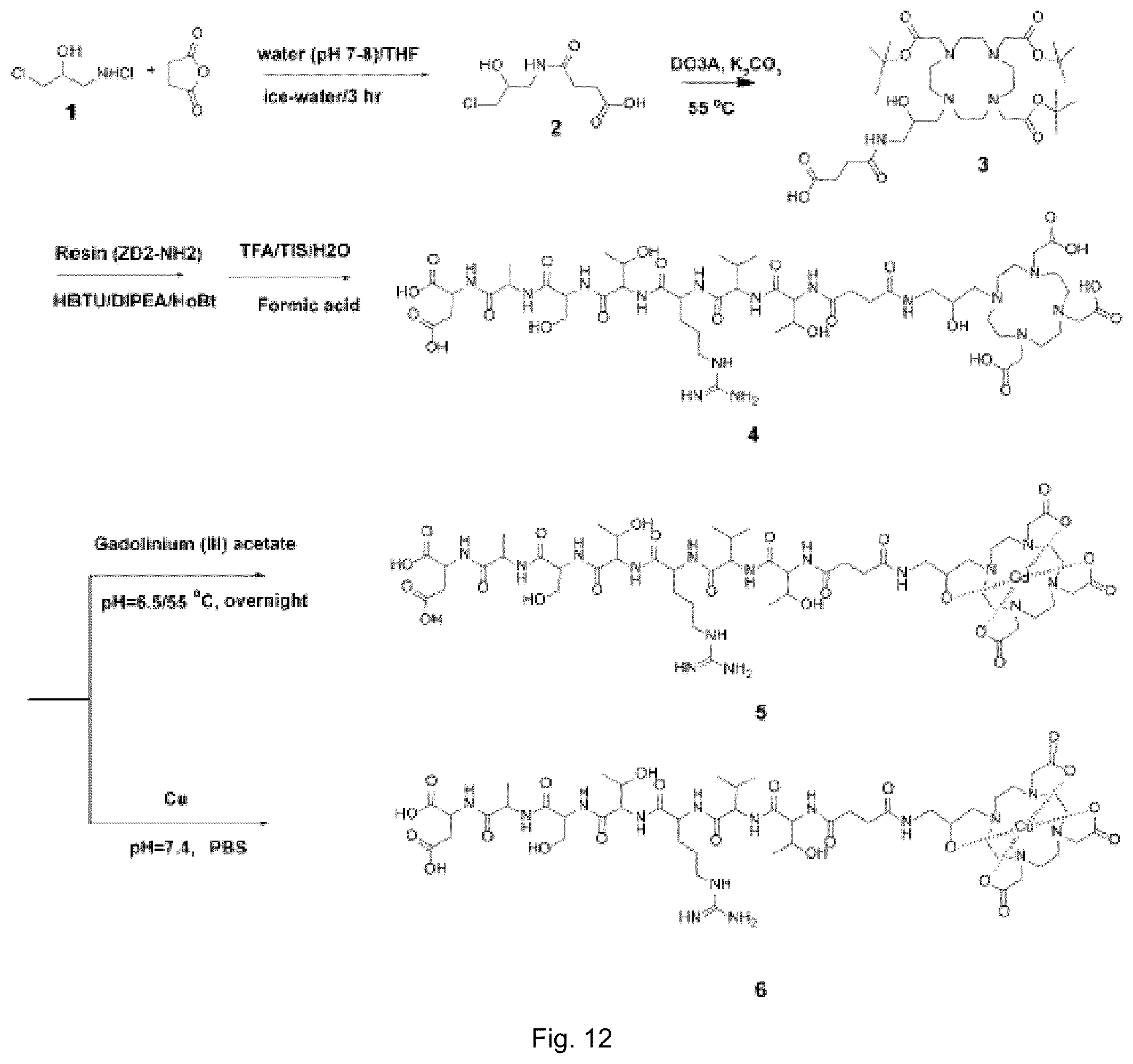 Patent US12599684 Figure 12 – Molecular probes and methods of use