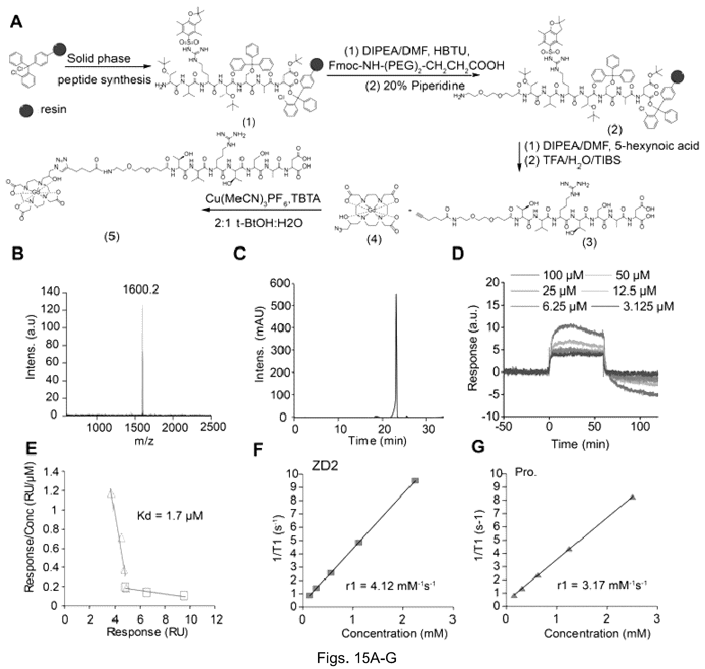 Patent US12599684 Figure 15 – Molecular probes and methods of use
