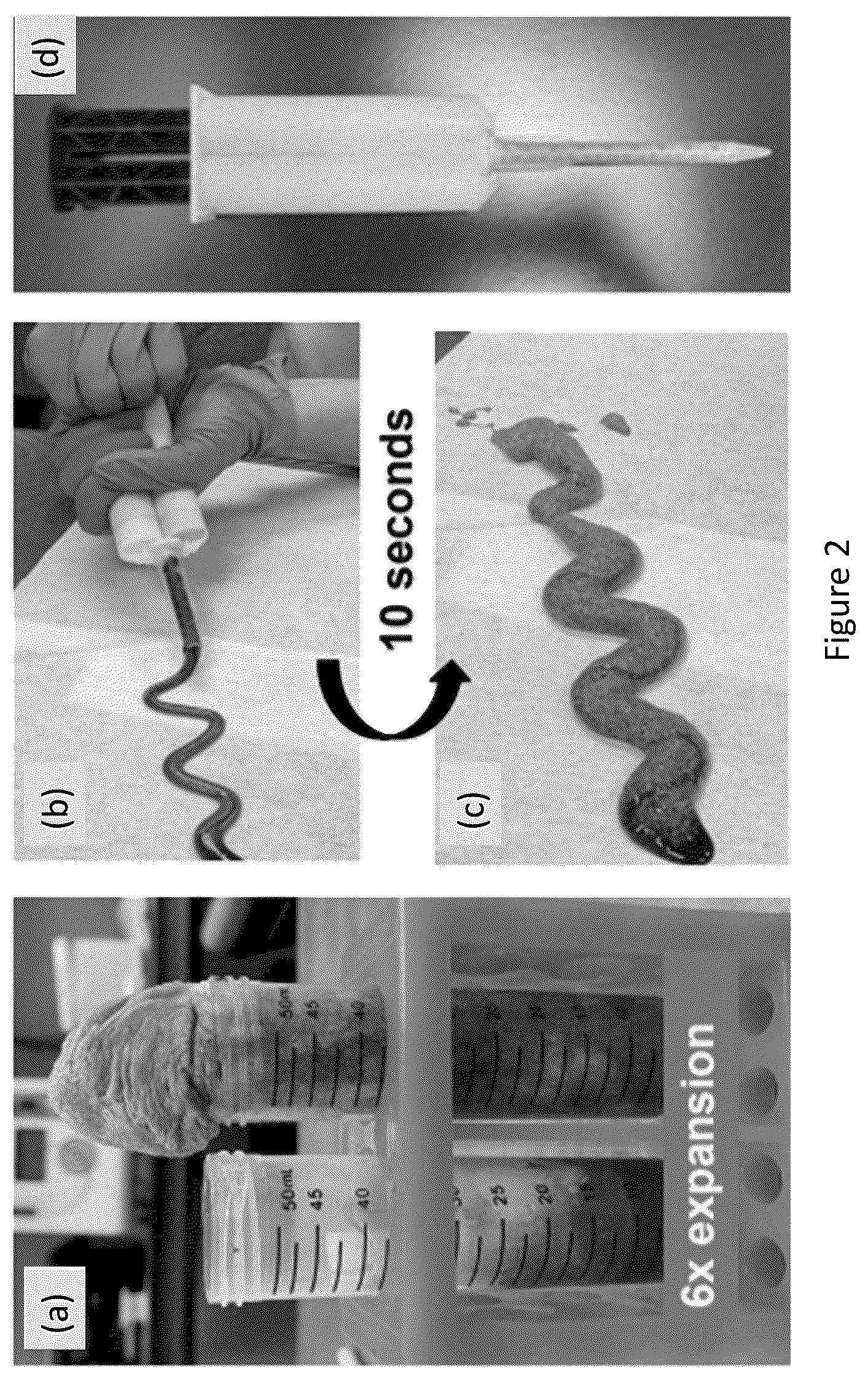 Patent US12599693 Figure 2 – Augmented thermoset polymer sponges for in situ hemostatic treatment of external and internal wounds