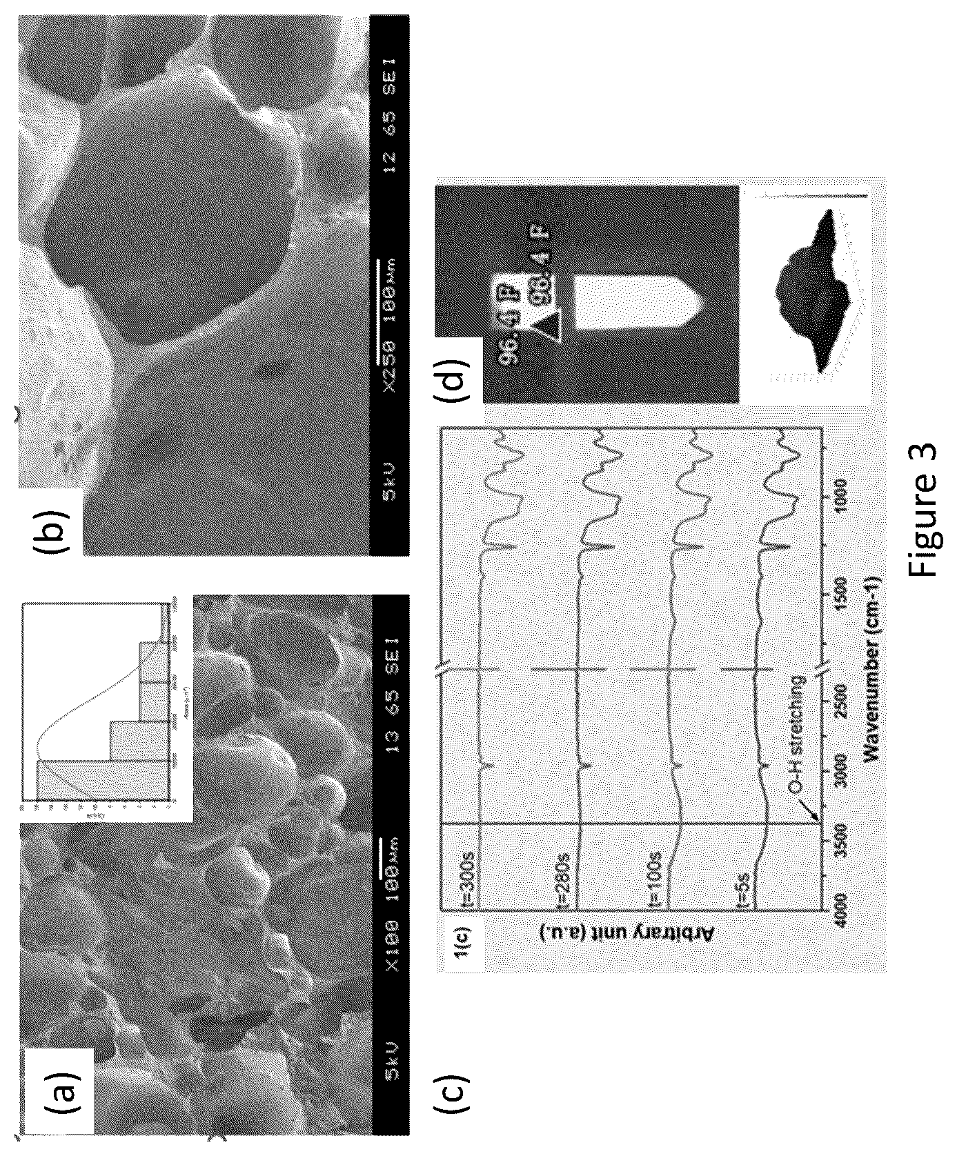 Patent US12599693 Figure 3 – Augmented thermoset polymer sponges for in situ hemostatic treatment of external and internal wounds