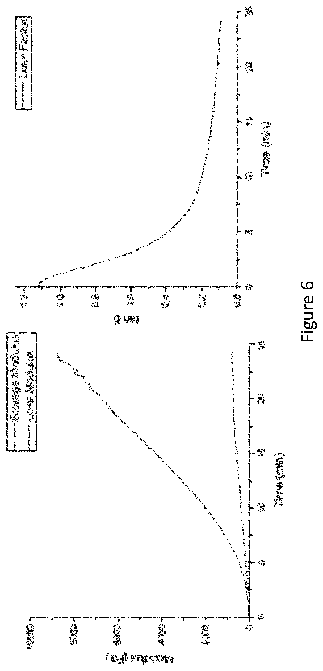 Patent US12599693 Figure 6 – Augmented thermoset polymer sponges for in situ hemostatic treatment of external and internal wounds