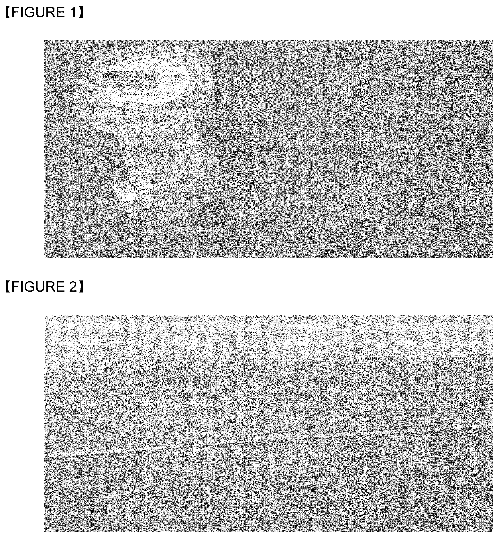 Patent US12599695 Figure 1 – Absorbable suture containing polydeoxyribonucleotide