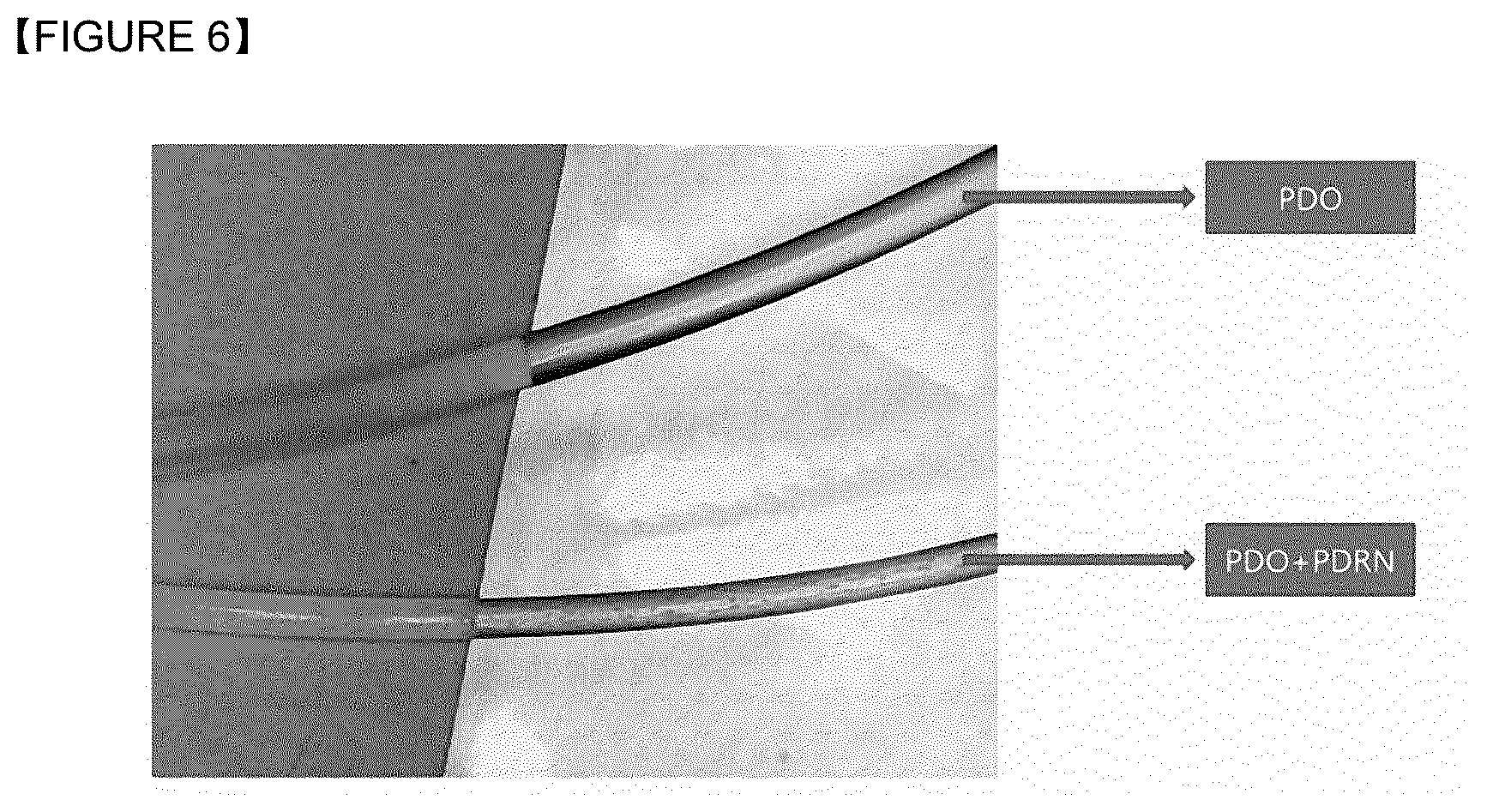 Patent US12599695 Figure 3 – Absorbable suture containing polydeoxyribonucleotide