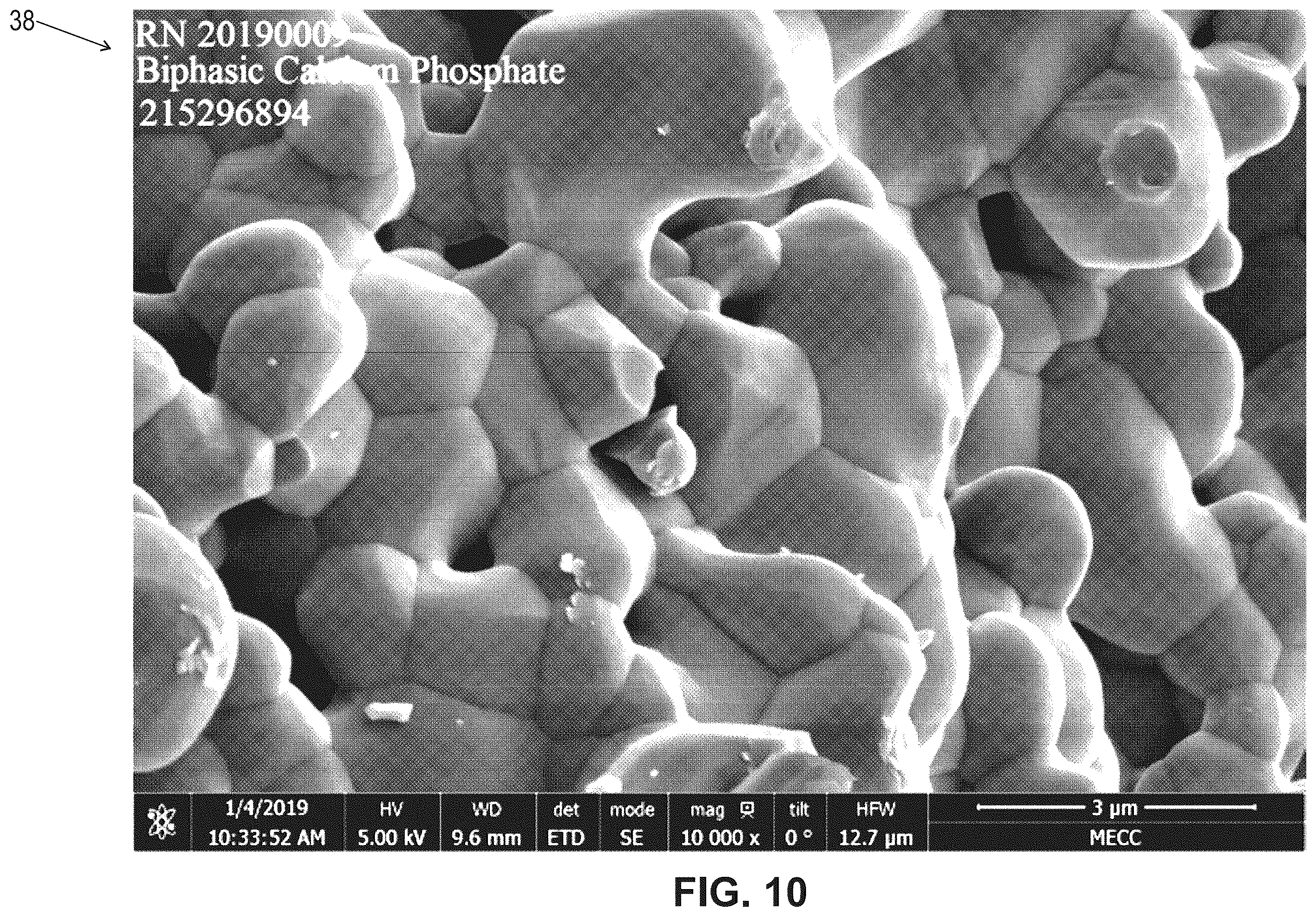 Patent US12599696 Figure 10 – Hydratable and flowable implantable compositions and methods of making and using them