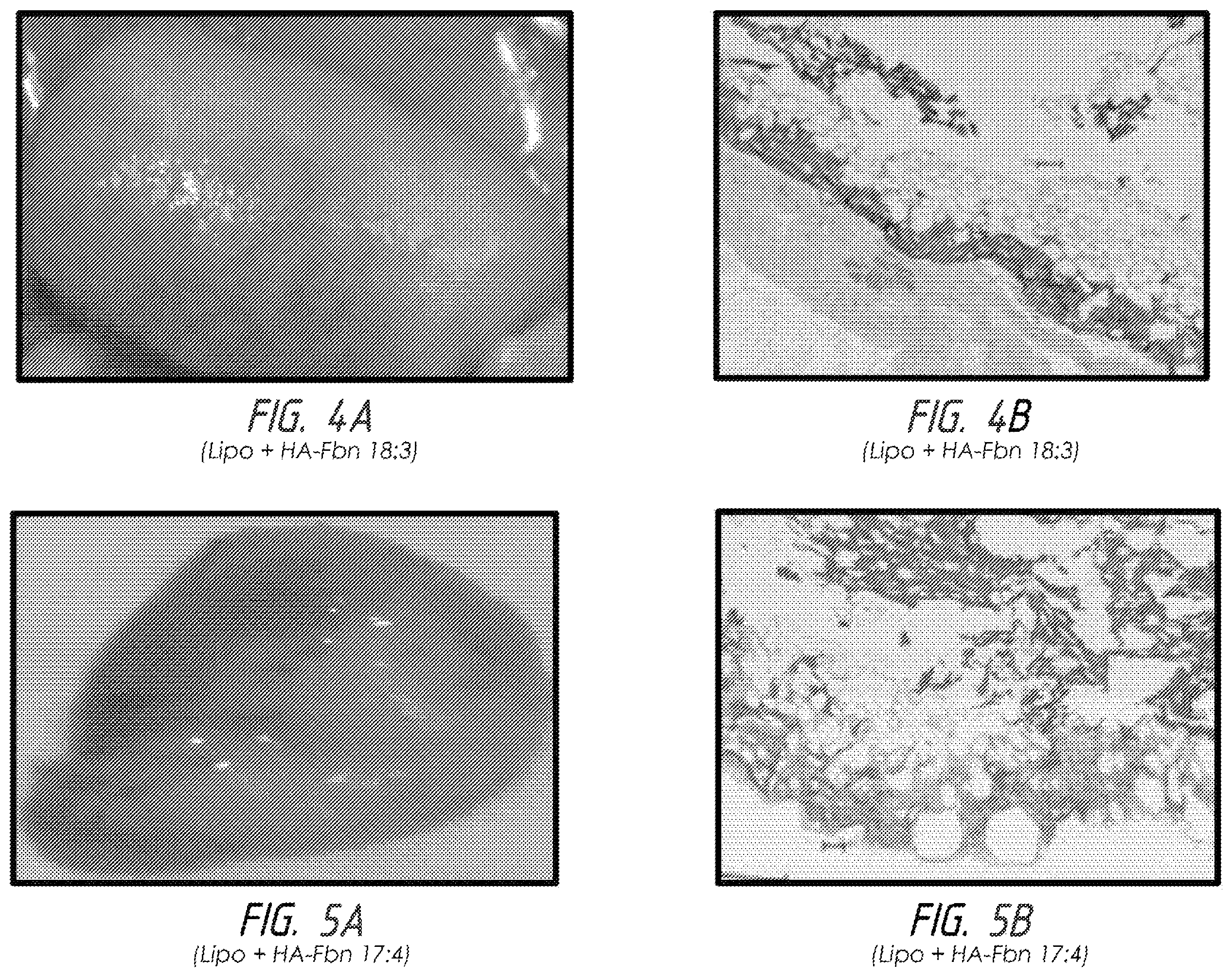 Patent US12599699 Figure 3 – Co-crosslinked hyaluronic acid-silk fibroin hydrogels for improving tissue graft viability and for soft tissue augmentation