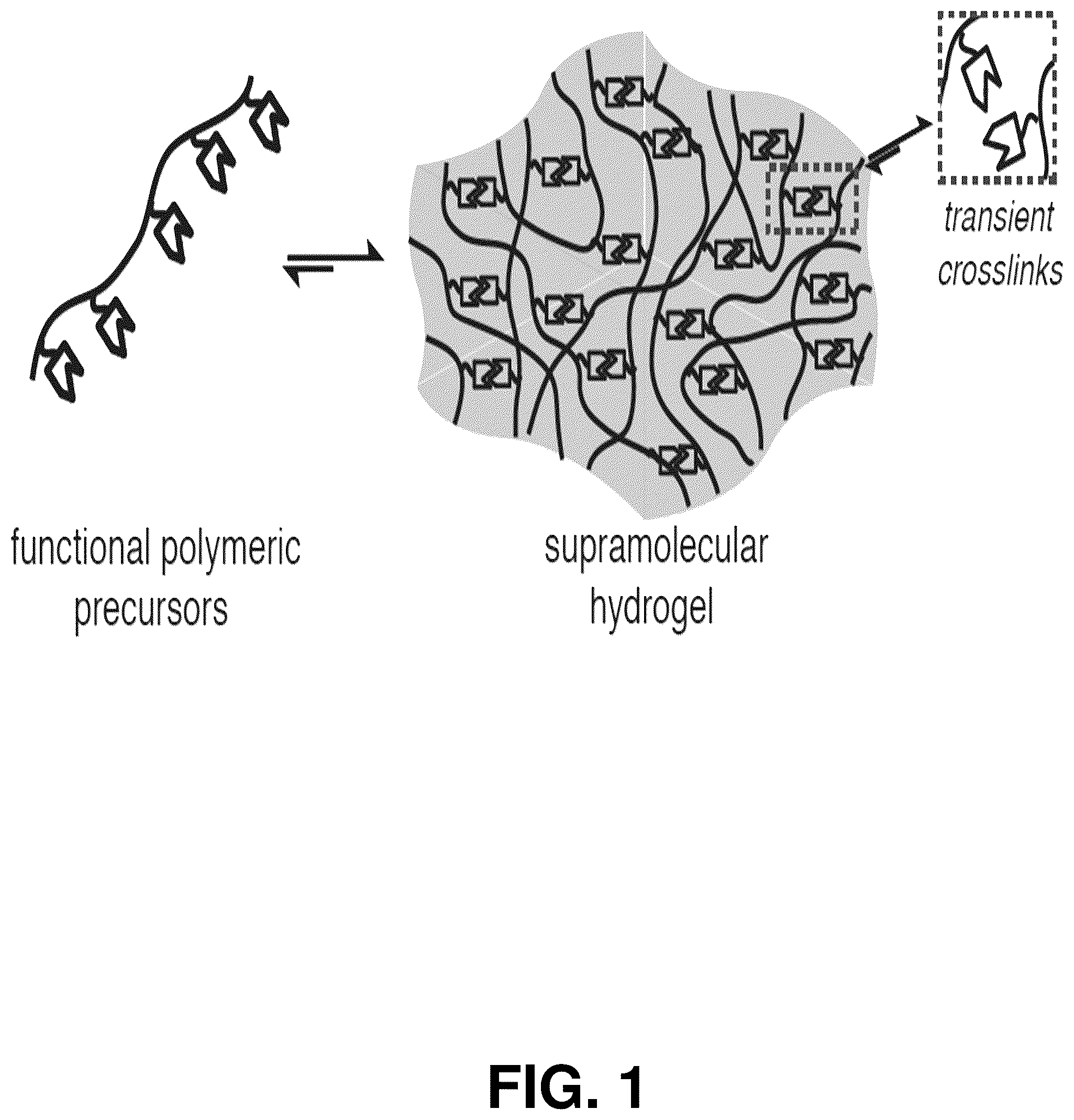 Patent US12599706 — Adhesion prevention with shear-thinning polymeric hydrogels — Figure 1