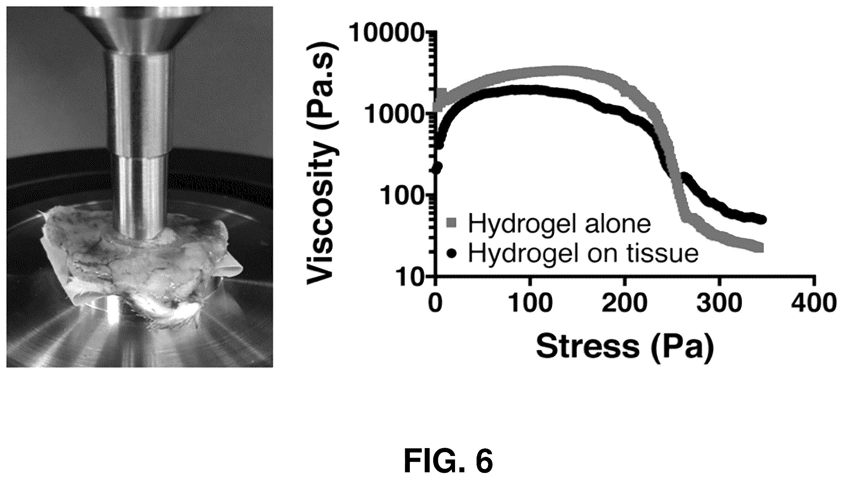 Patent US12599706 Figure 8 – Adhesion prevention with shear-thinning polymeric hydrogels