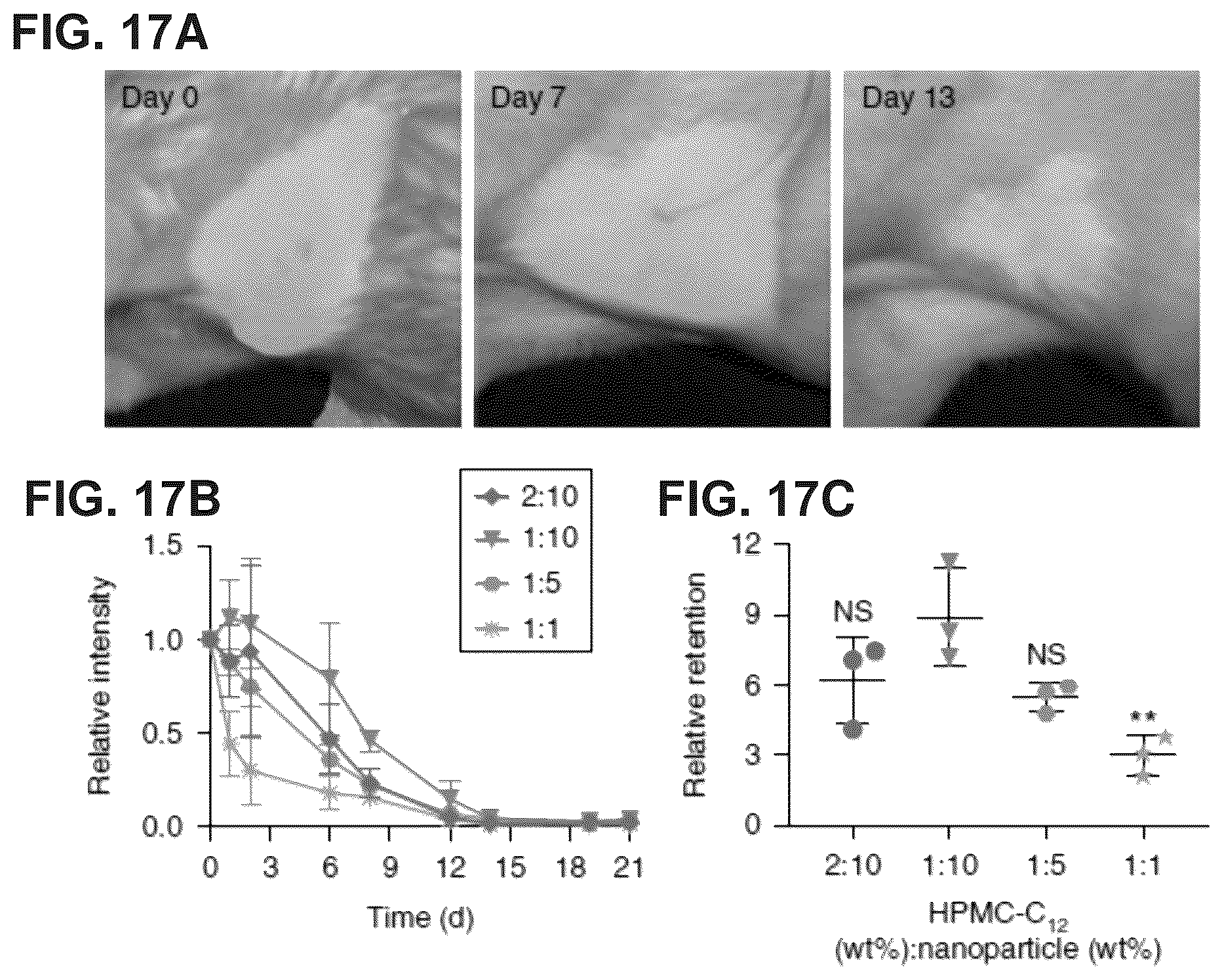 Patent US12599706 Figure 19 – Adhesion prevention with shear-thinning polymeric hydrogels