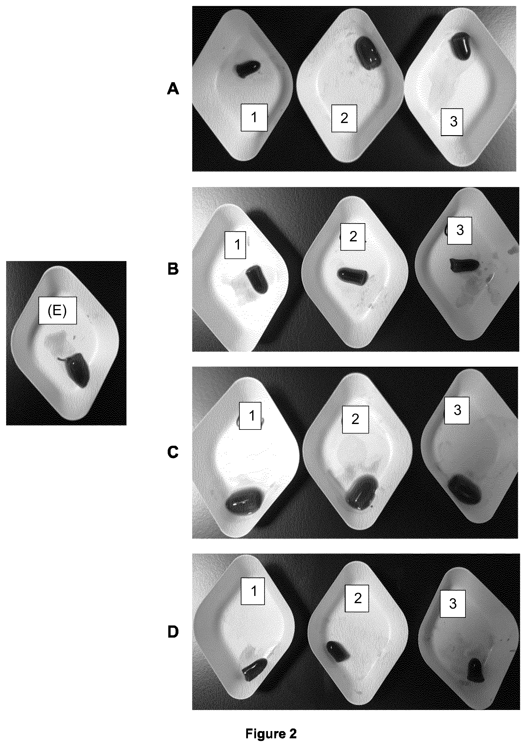 Patent US12599707 Figure 2 – Coating for medical devices