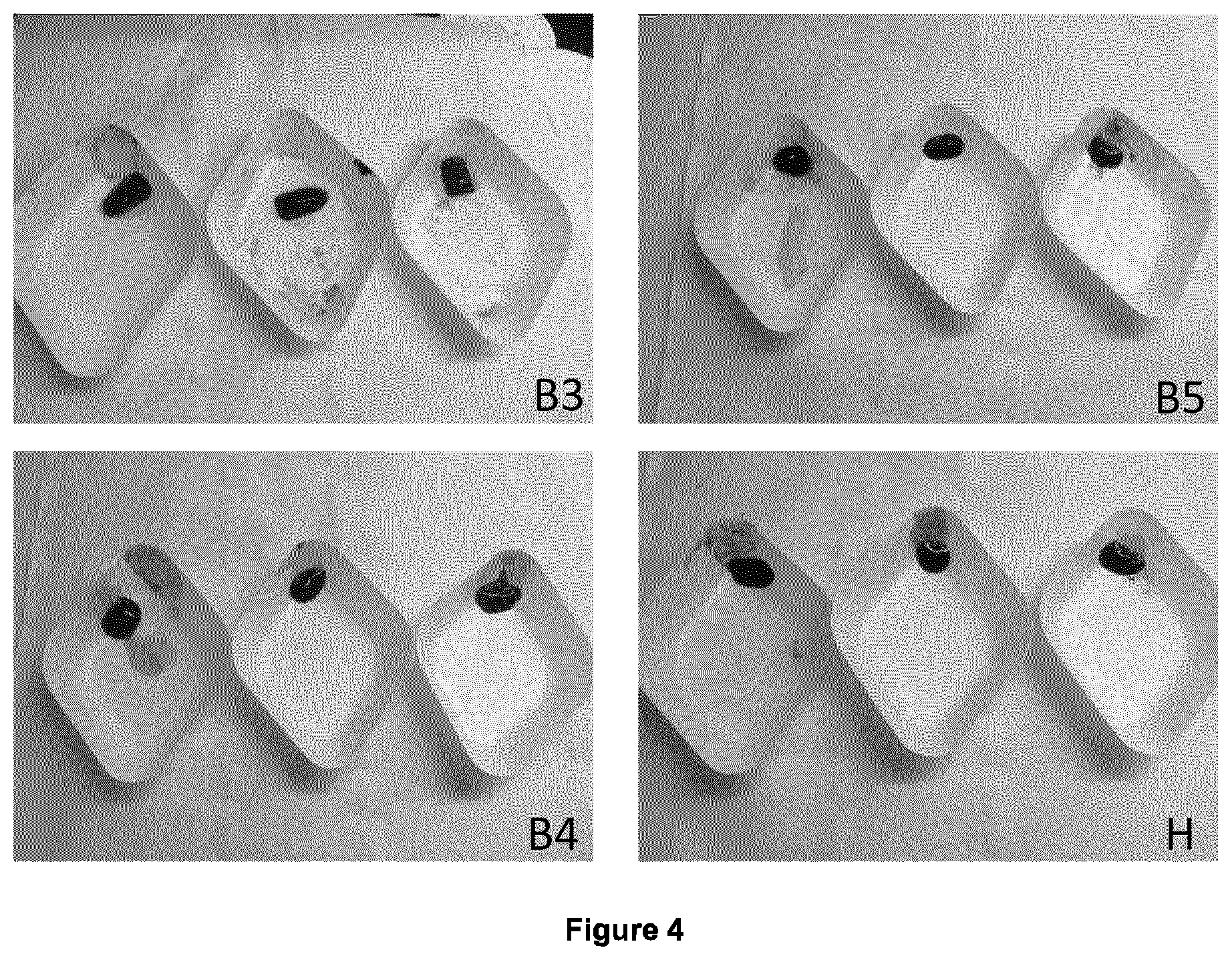 Patent US12599707 Figure 4 – Coating for medical devices